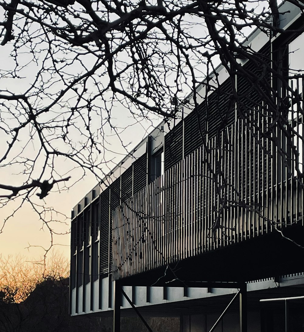 a black and white photo of a building and a tree