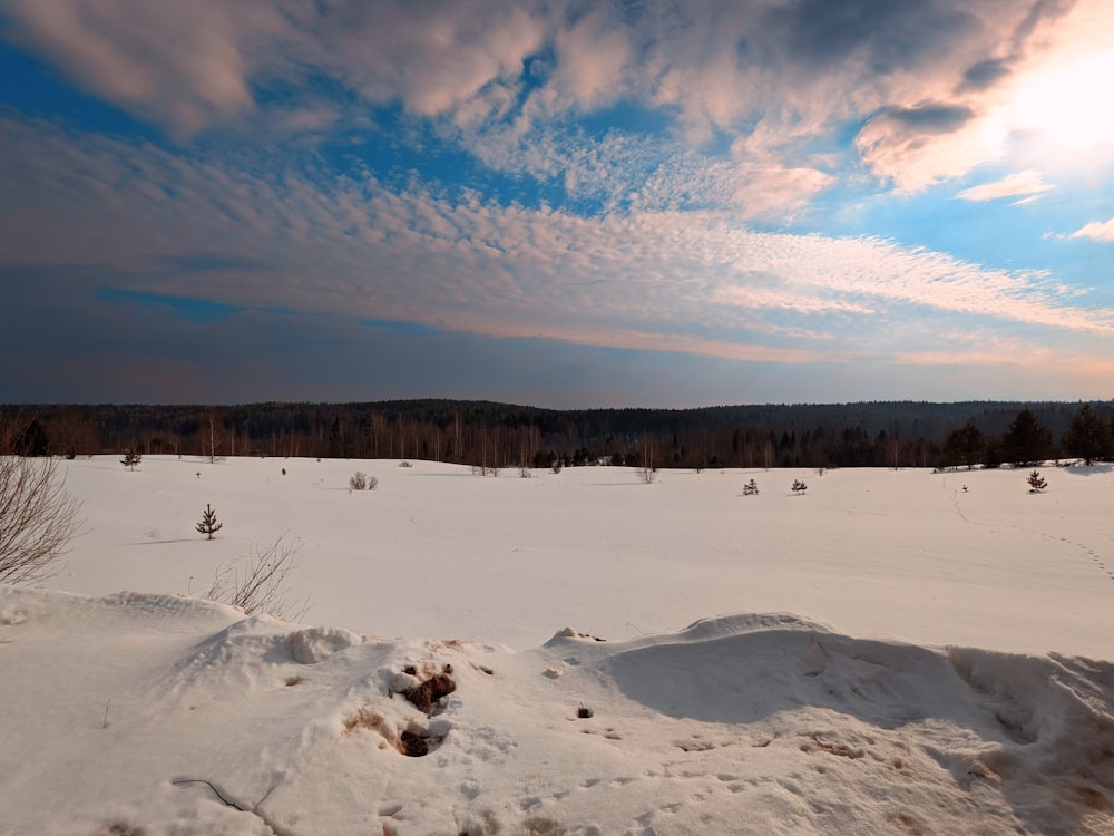 a field covered in snow under a cloudy sky