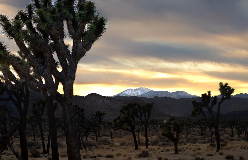 the sun is setting behind the mountains in the desert