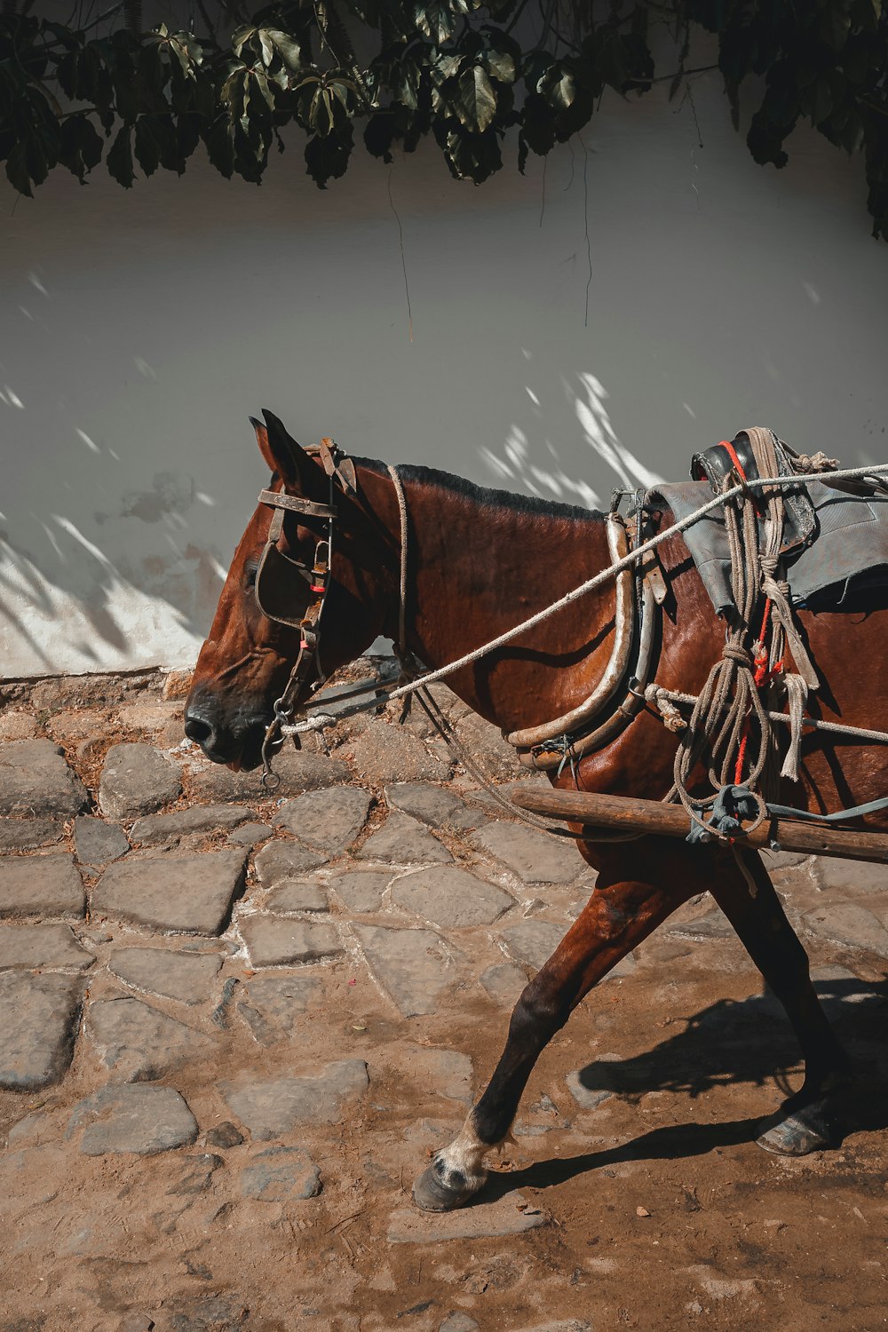 a brown horse pulling a cart down a street