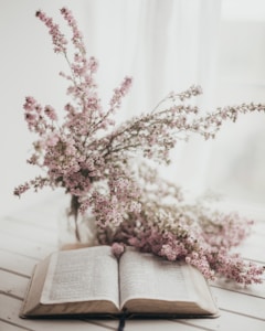 Calming Lavender Balm