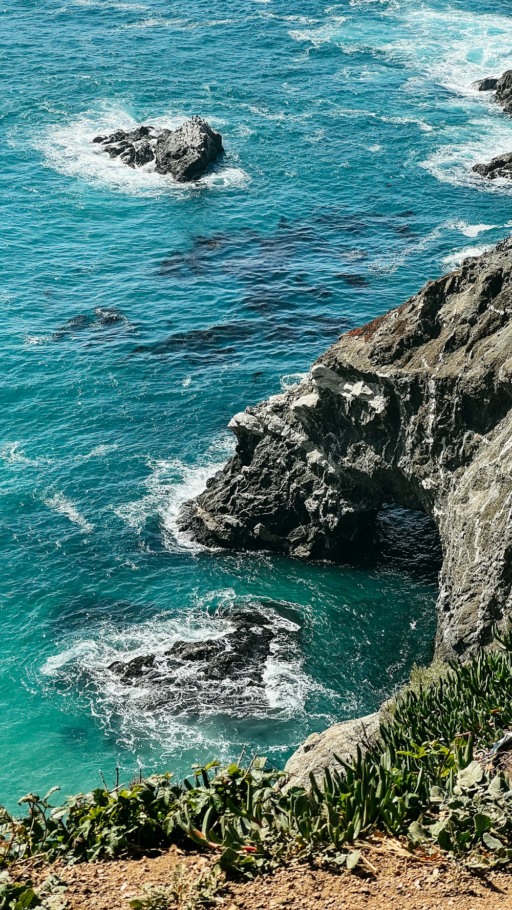 a bird sitting on a rock near the ocean