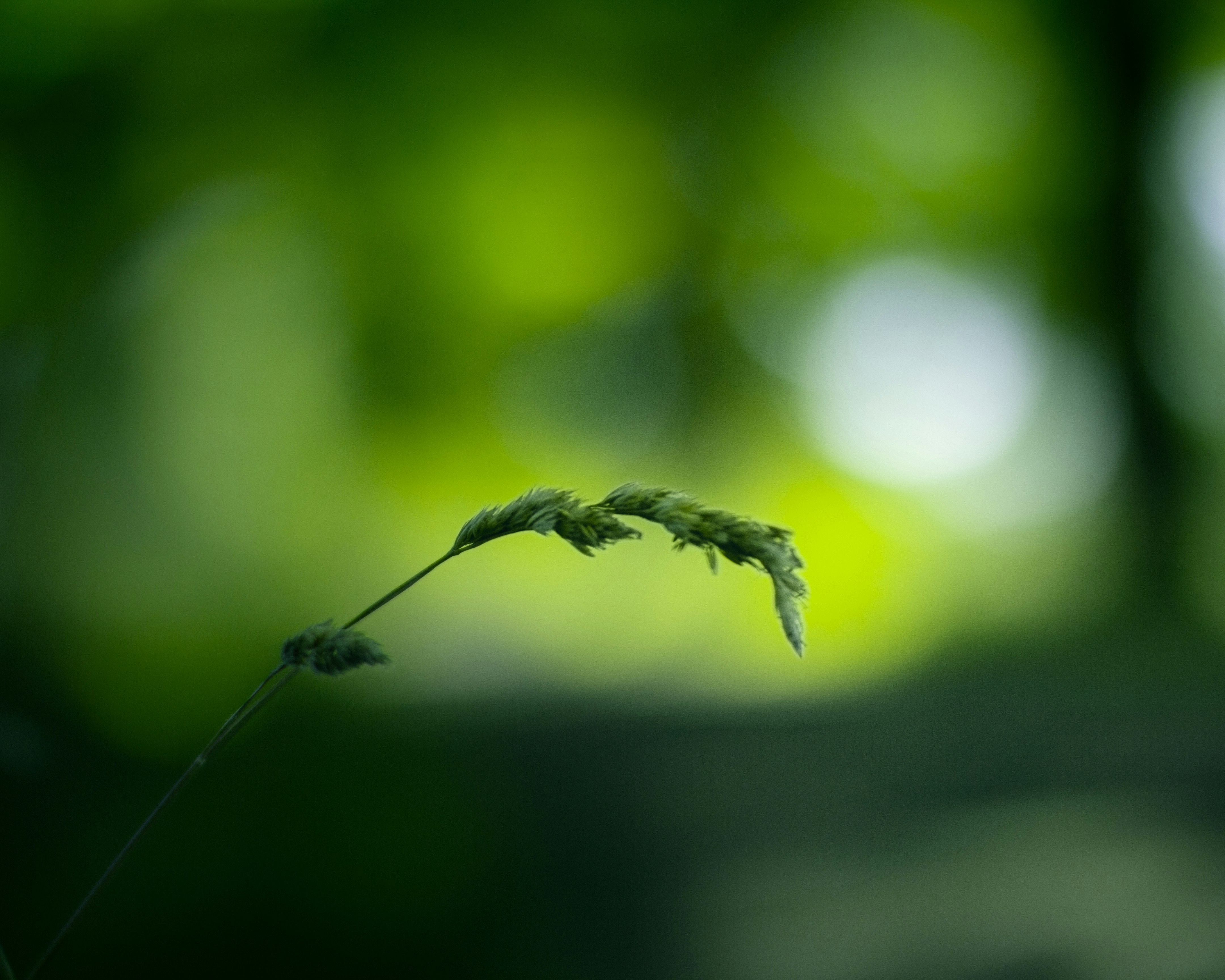 Photo by emmanuelphaeton