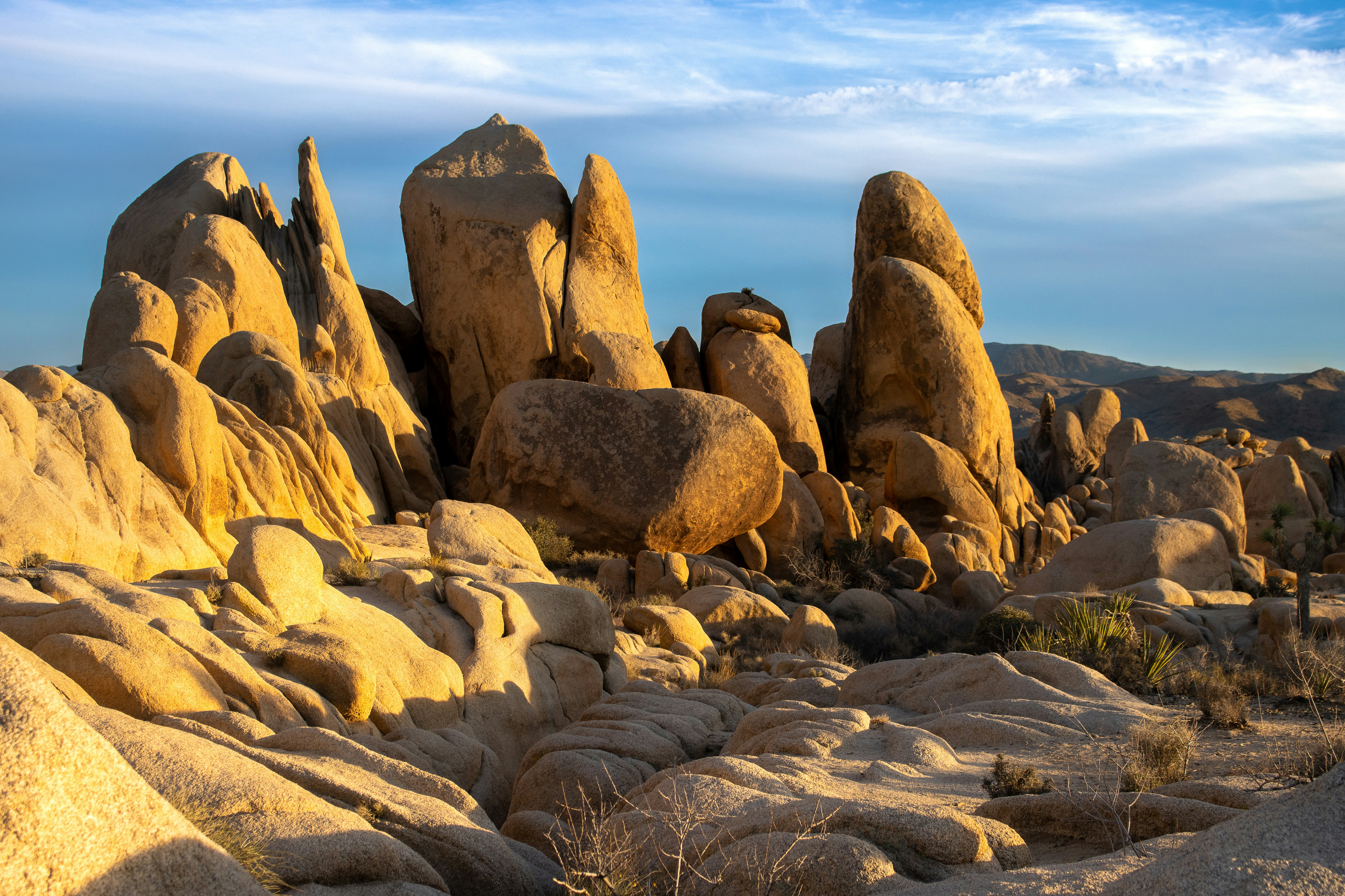 Photo by jeremiahjrross