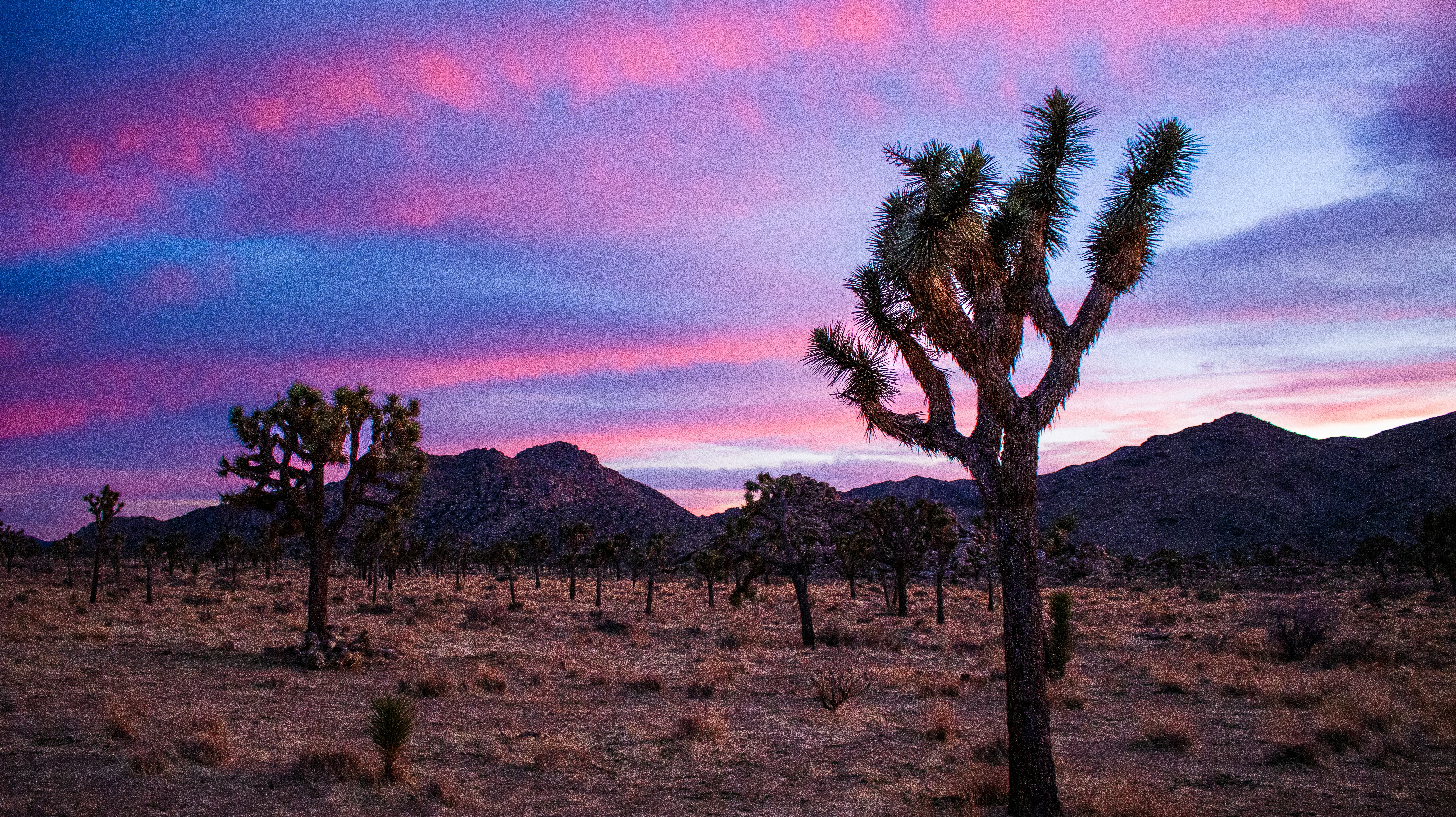 Photo by jeremiahjrross