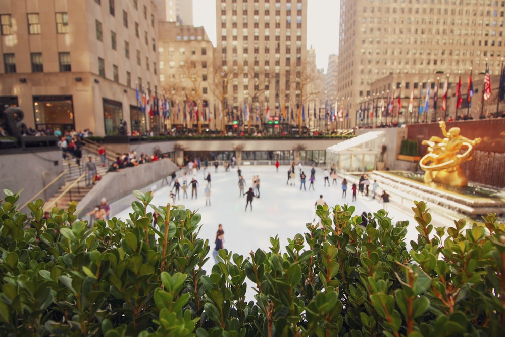 a group of people skating on an ice rink