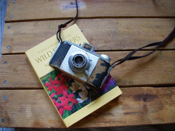 A vintage camera with a strap rests on top of a field guide book about wildflowers. The book cover is partially visible and features colorful images of flowers. The camera appears slightly worn and is set on a wooden surface.