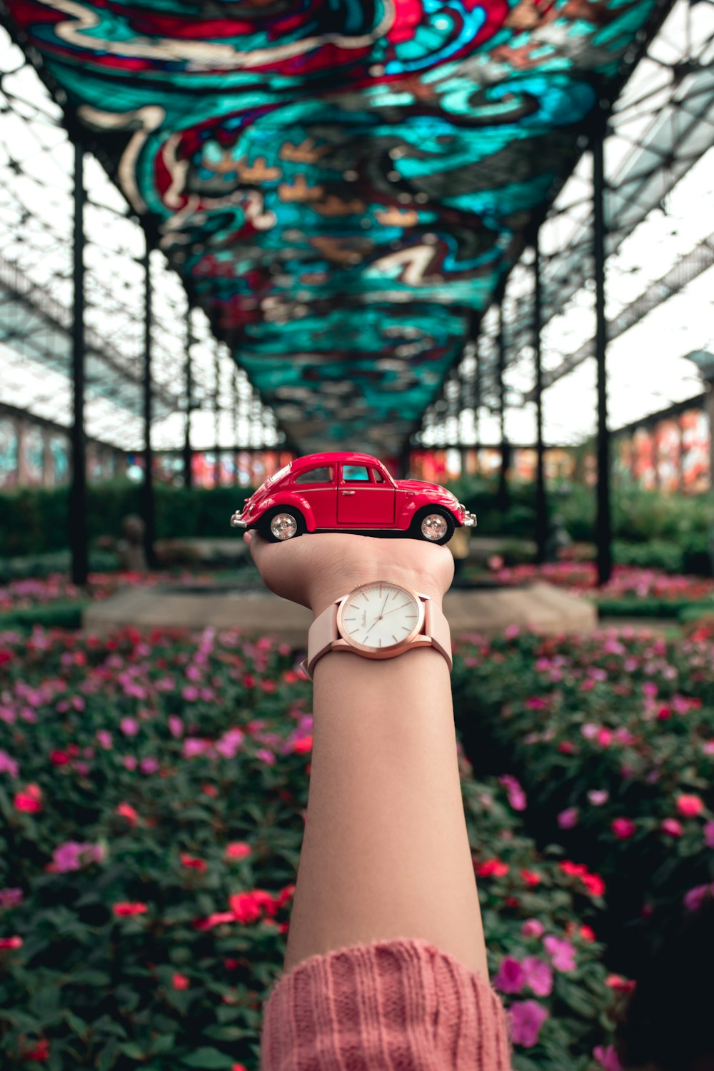 a woman's hand holding a red car in a greenhouse