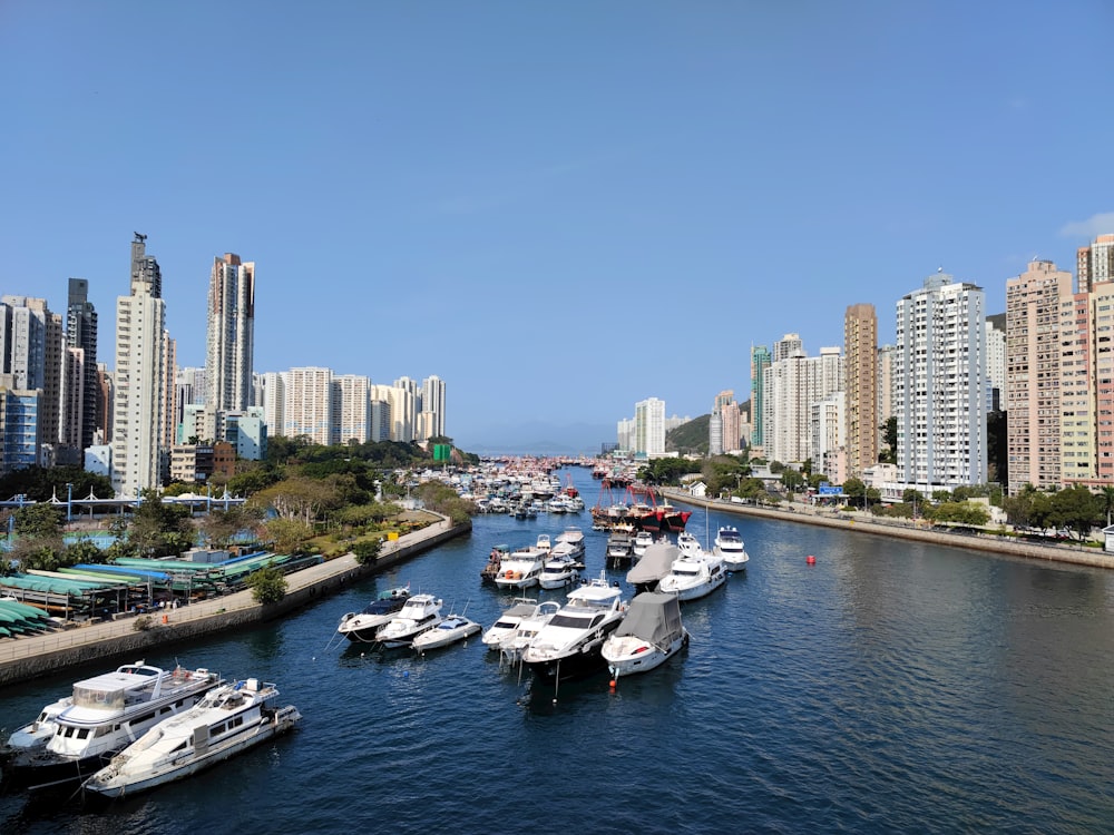 a group of boats that are sitting in the water