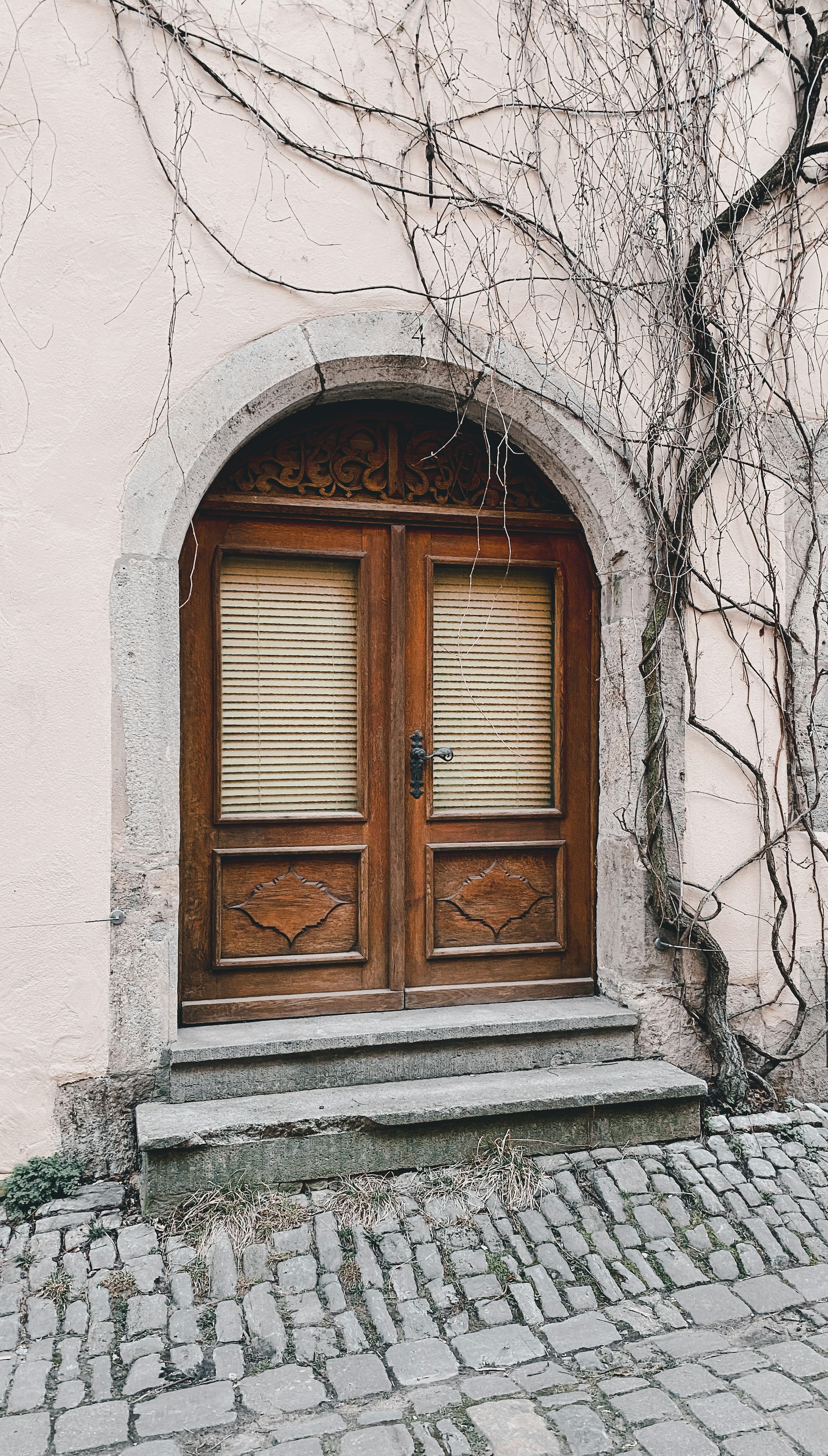 Photo by leakatharinafr