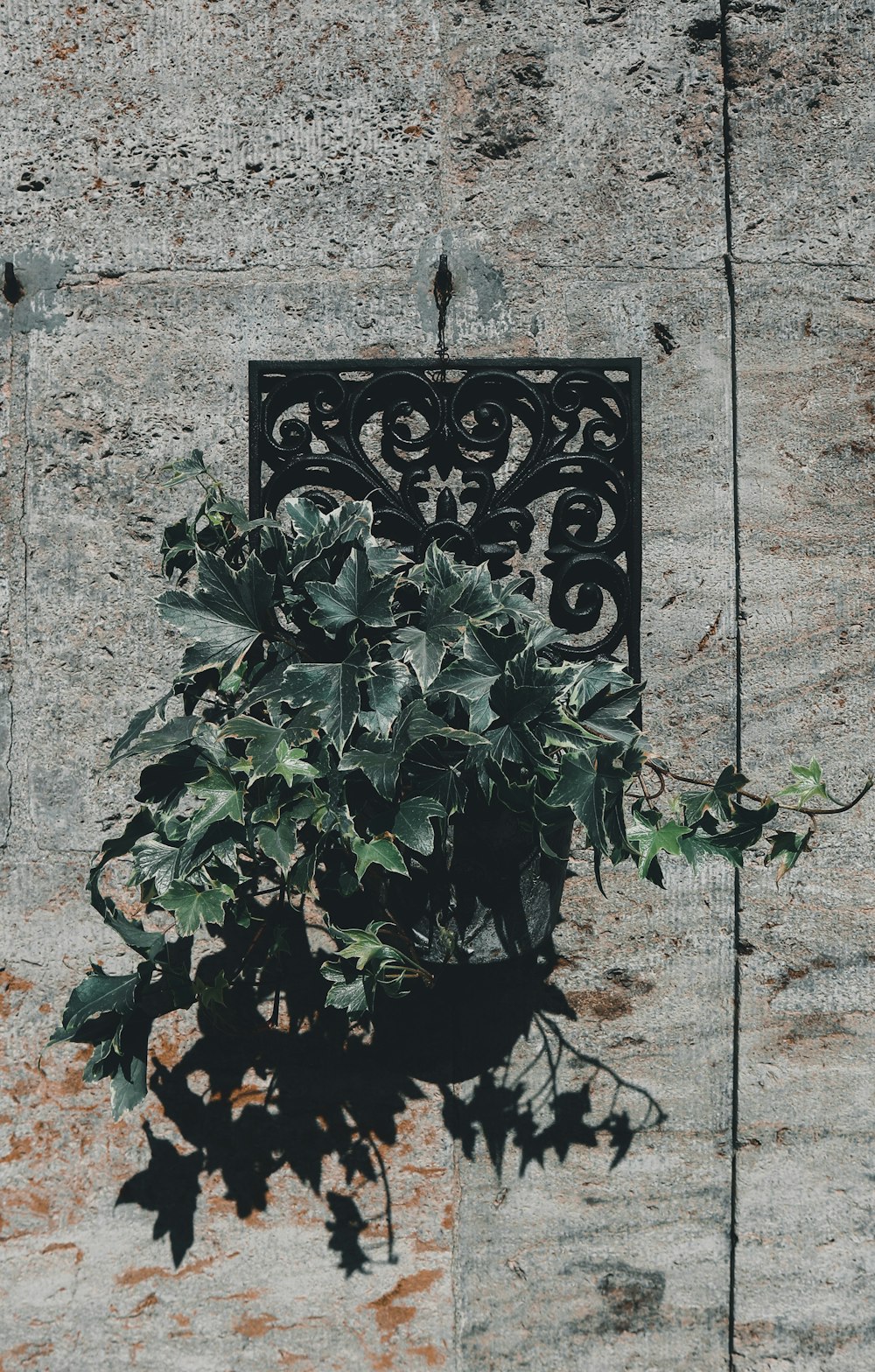 a potted plant sitting on top of a stone wall