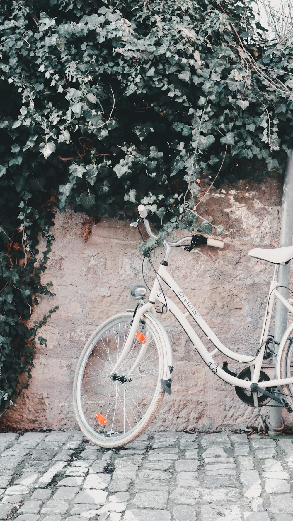 a white bicycle parked next to a wall covered in vines