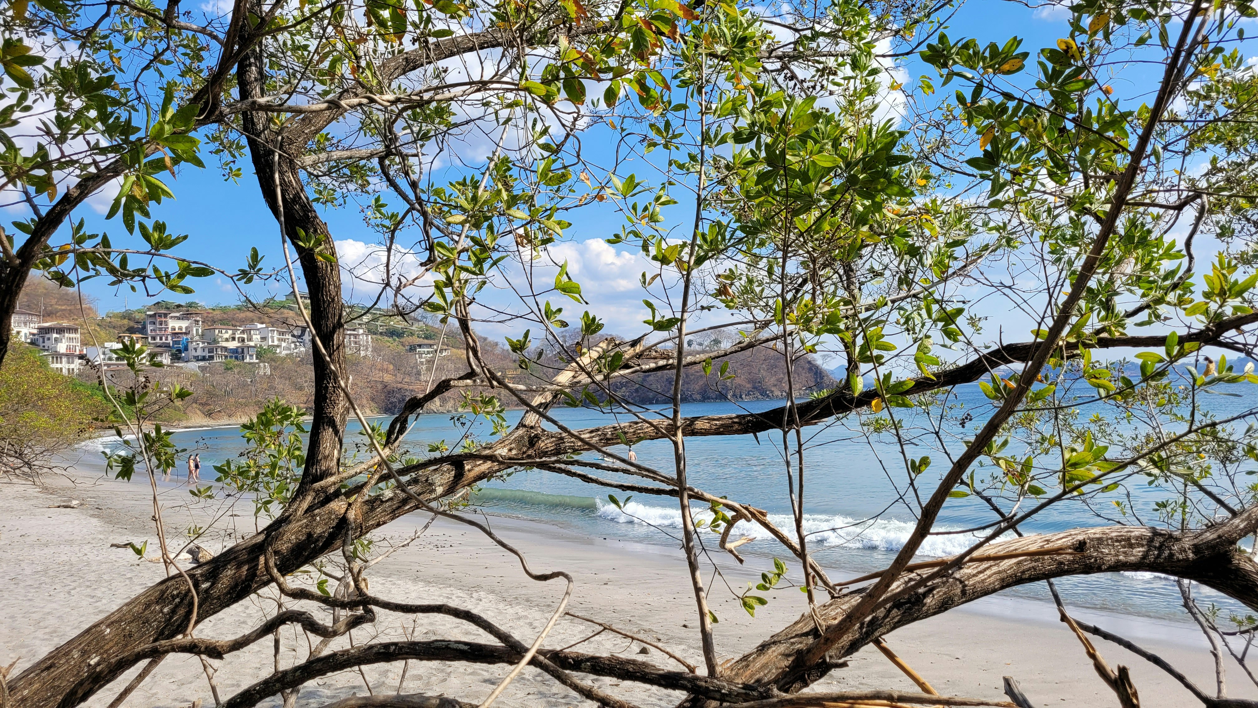 Photo by analore1960