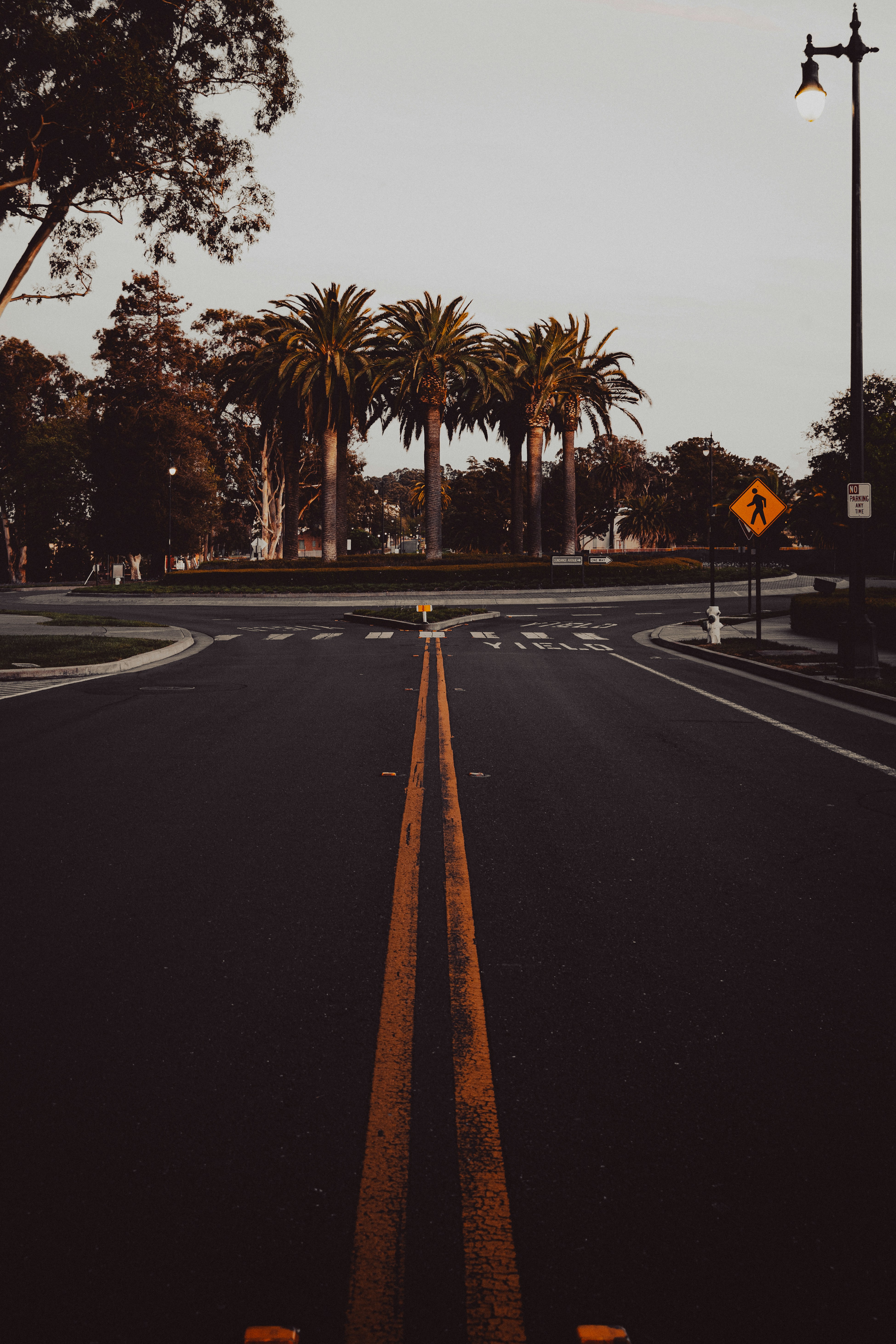 Photo by kalaniparker