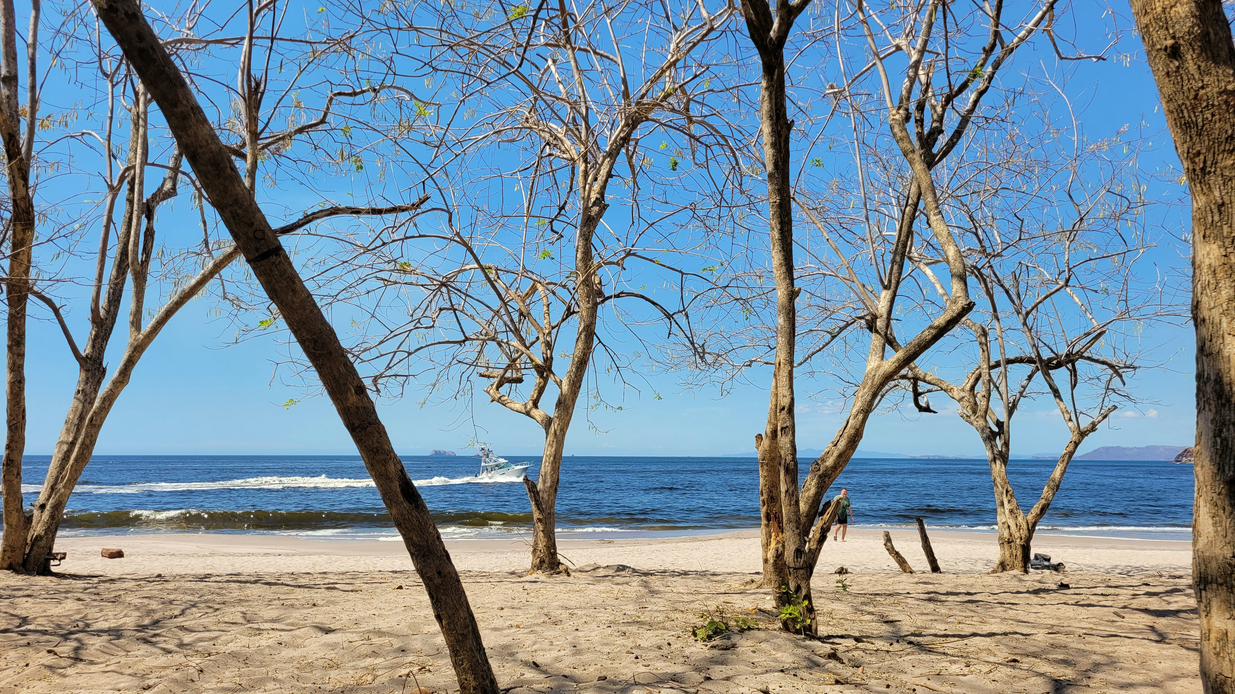 Photo by analore1960