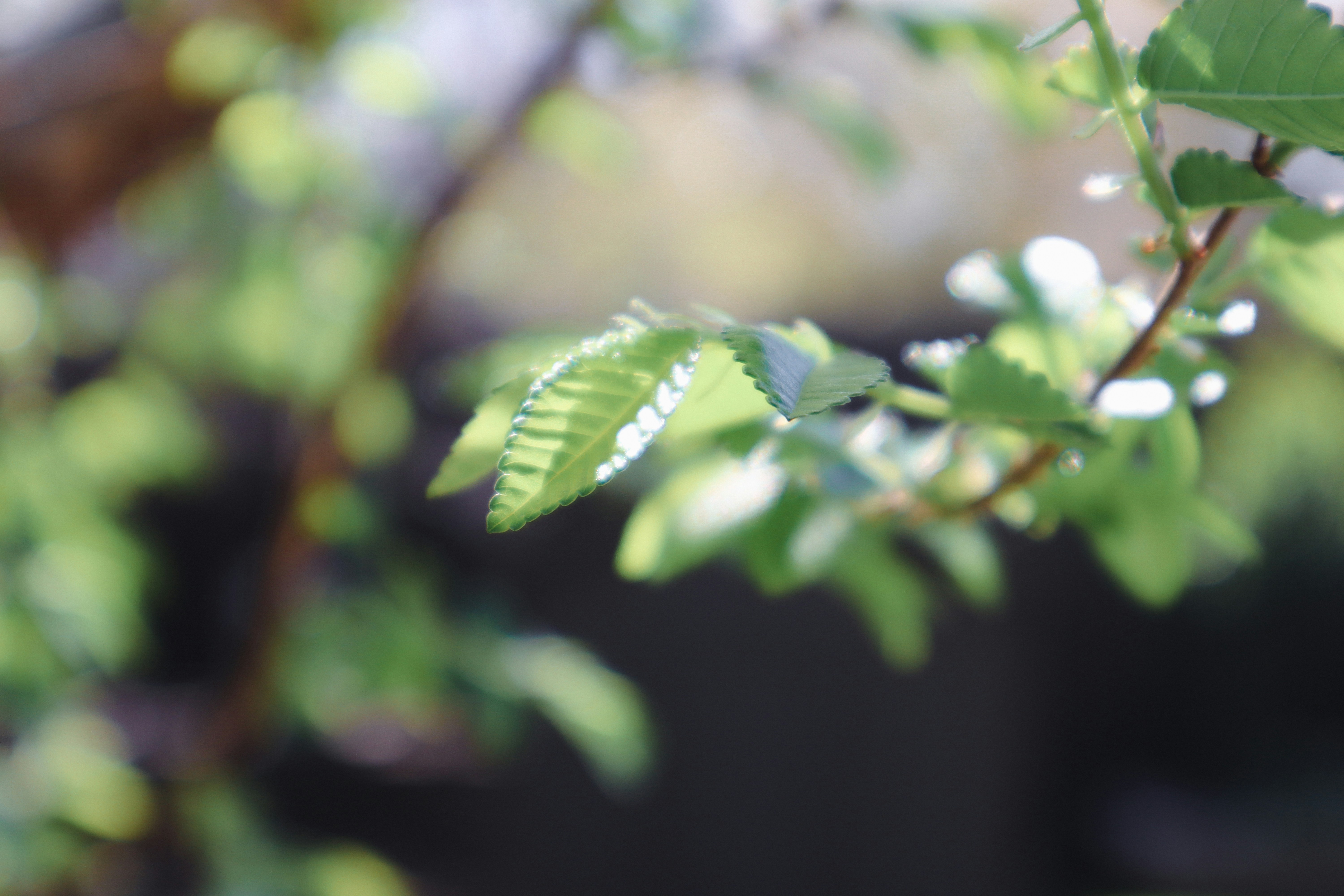 Photo by _allieastorga_