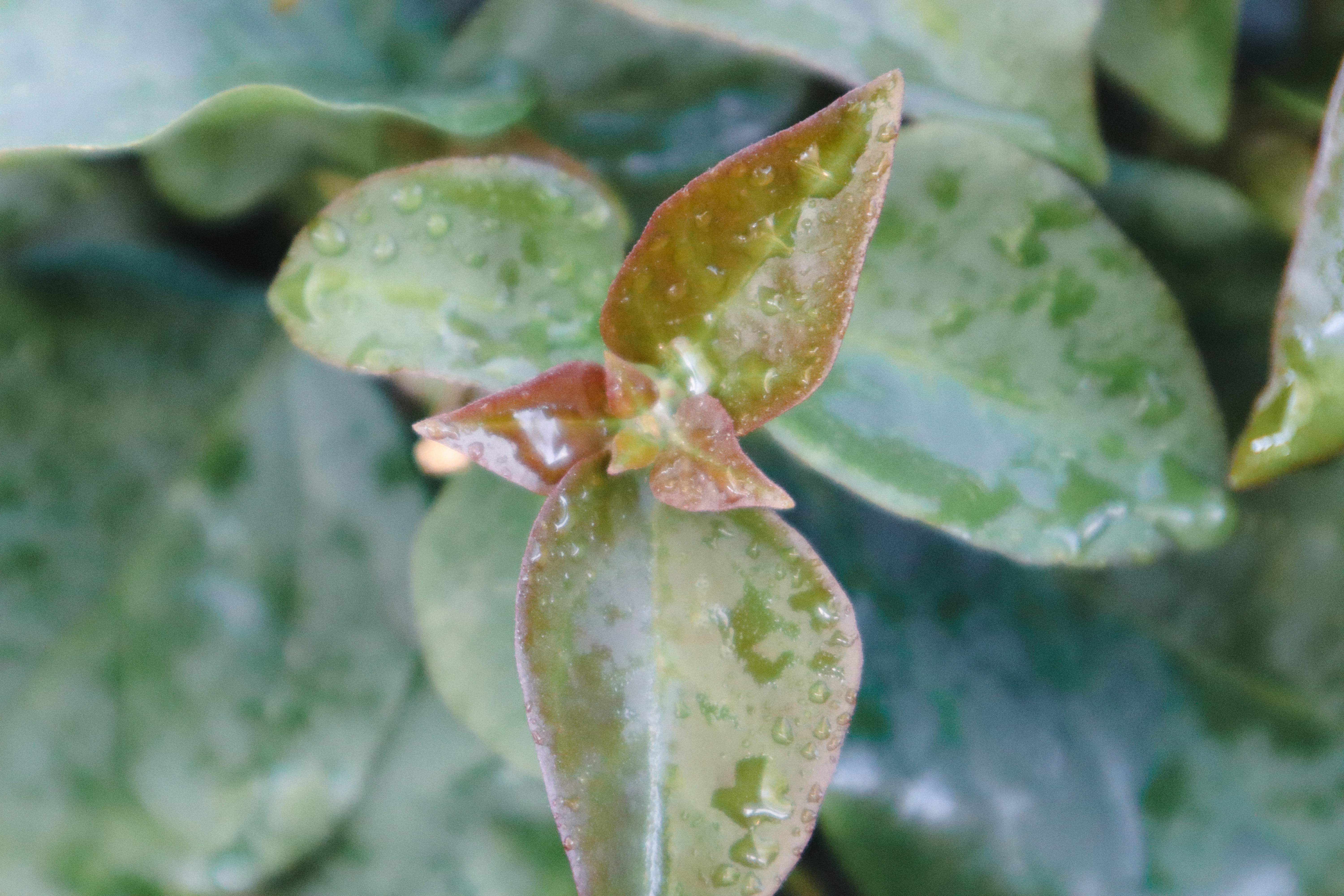 Photo by _allieastorga_