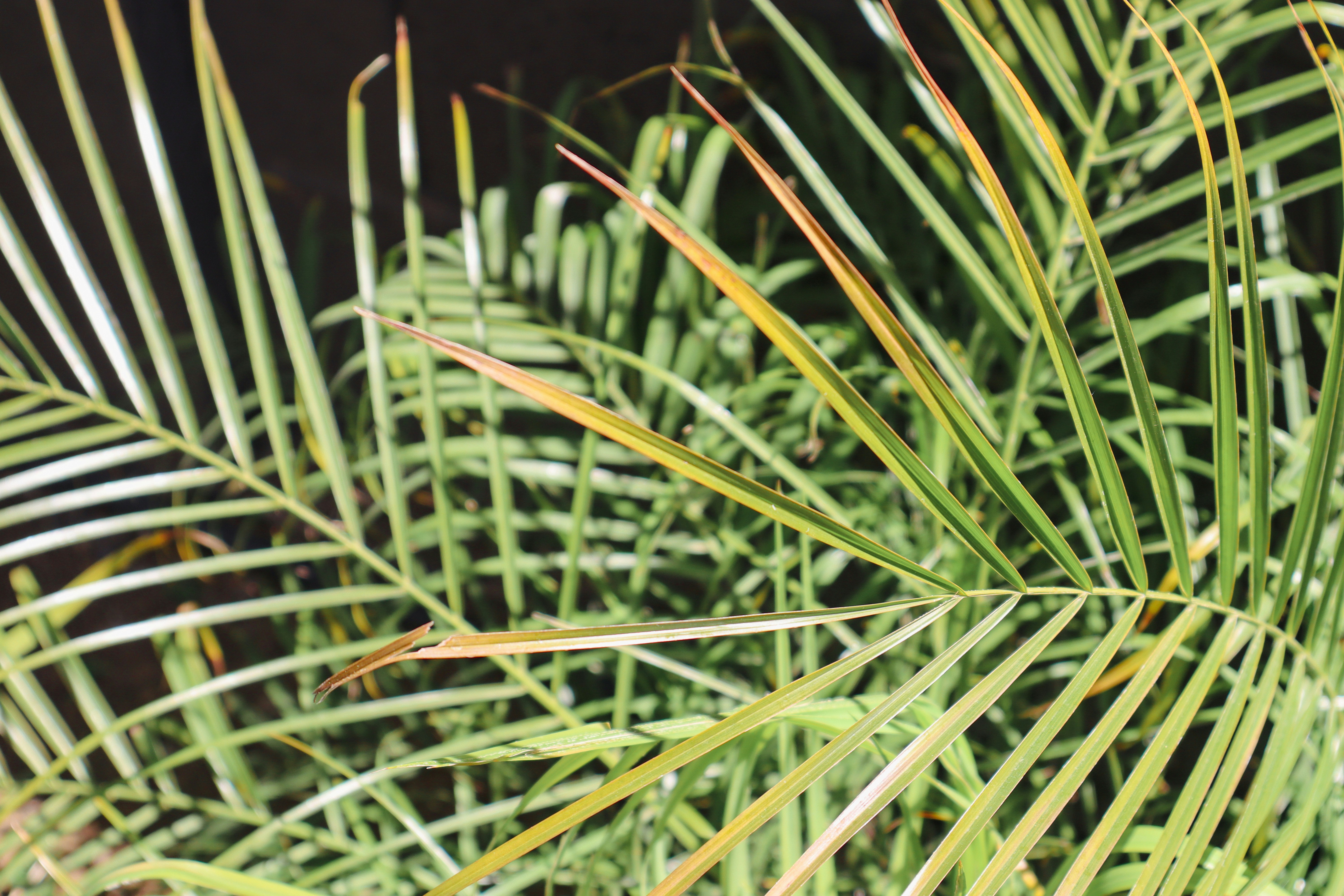 Photo by _allieastorga_