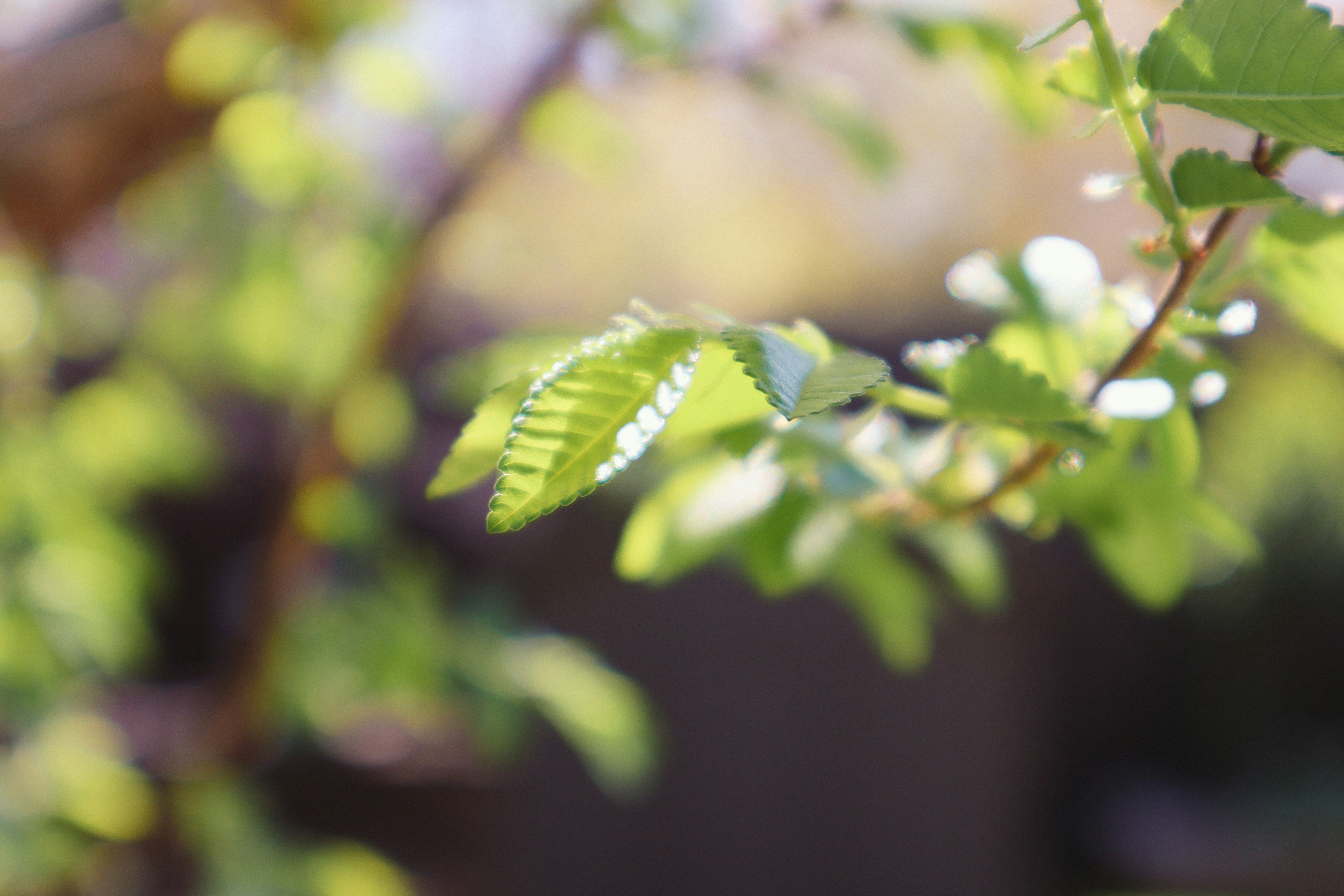 Photo by _allieastorga_