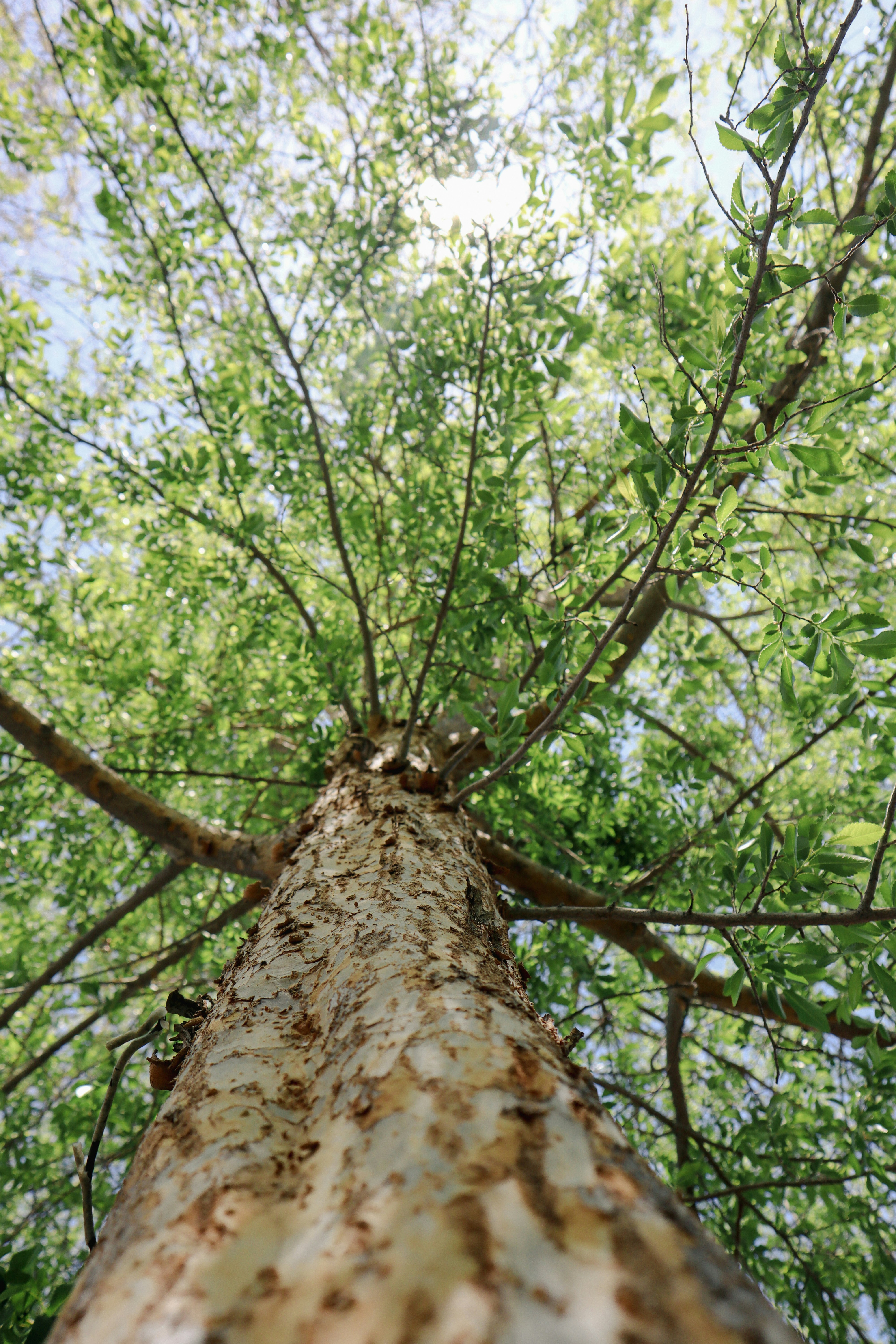 Photo by _allieastorga_