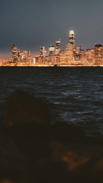 A stunning skyline view of a modern city.