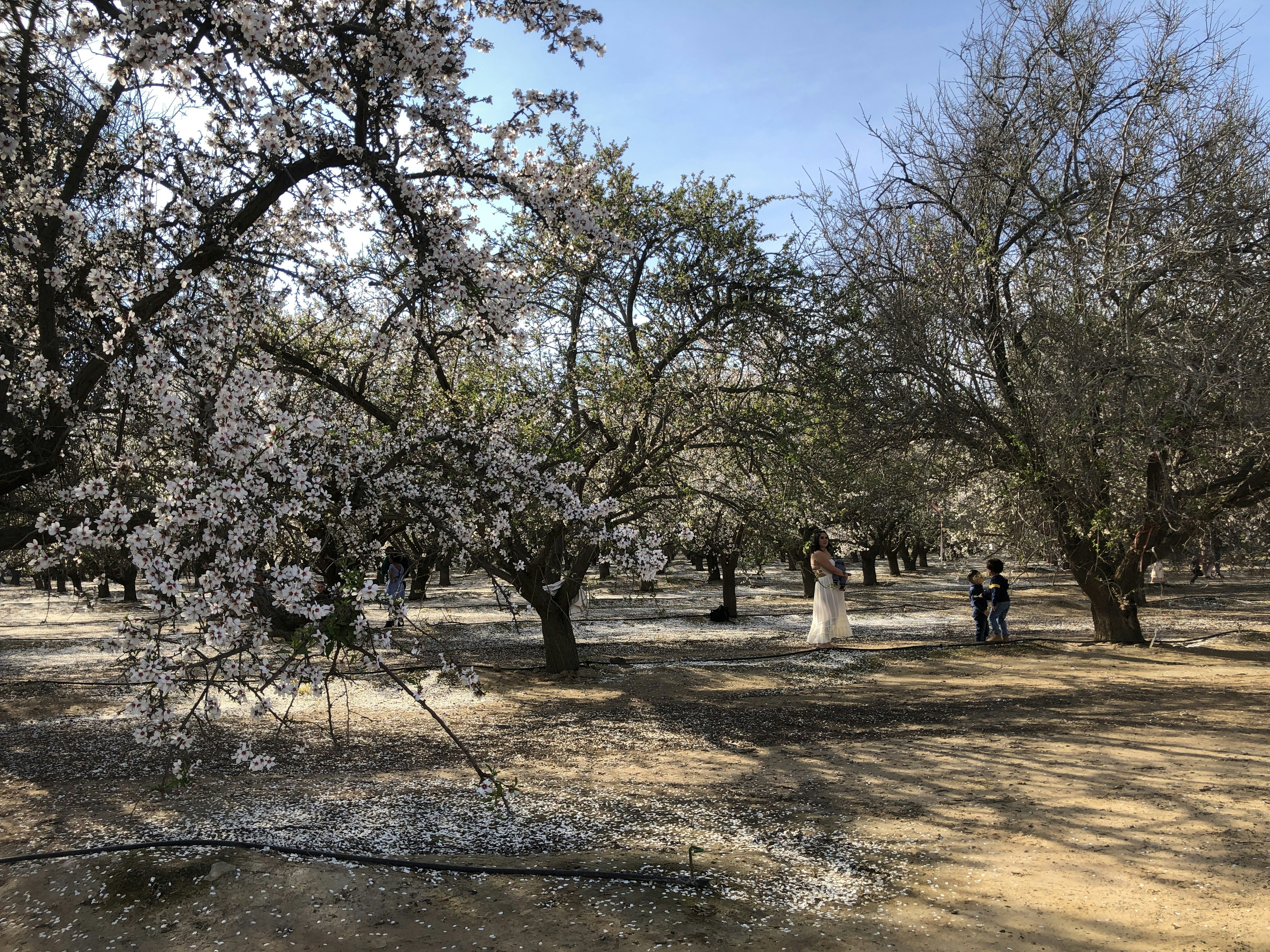 Little Salt Wash Park