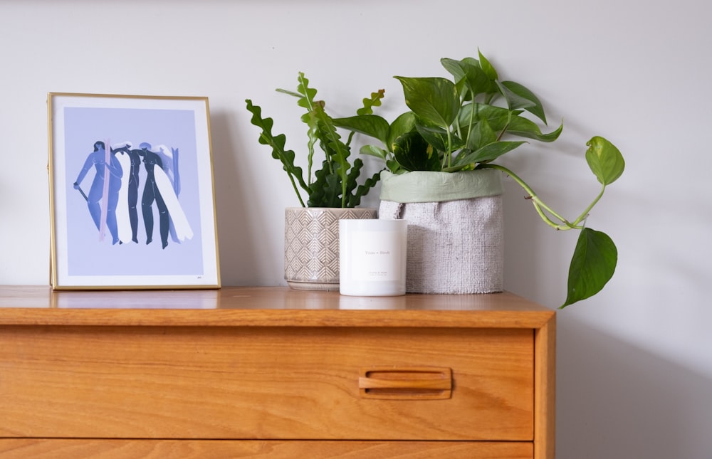 a wooden dresser topped with a potted plant next to a picture