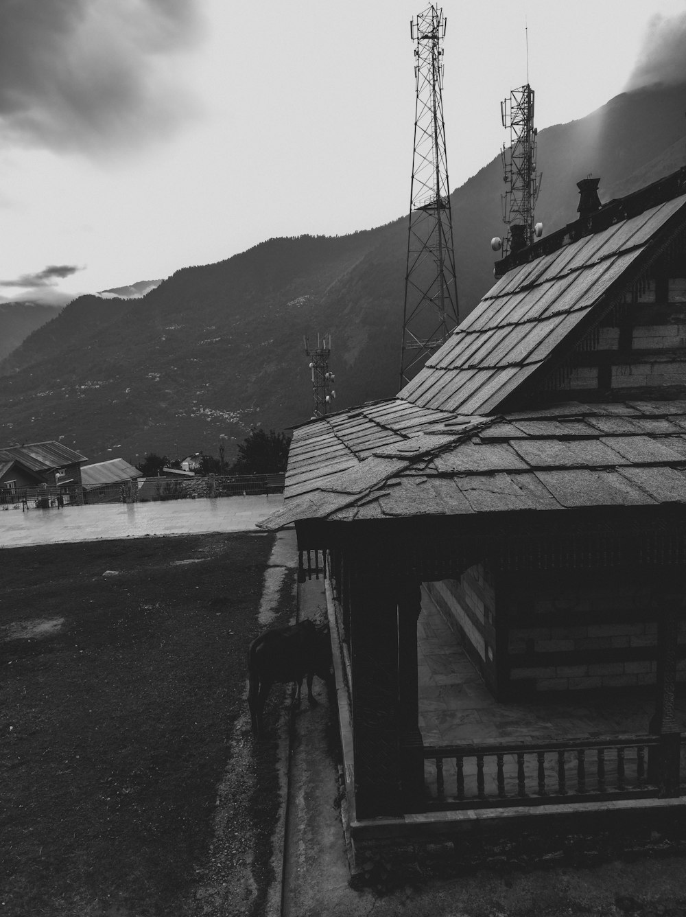 a black and white photo of a house and a dog