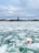 A frozen body of water with sheets of ice, featuring a bright red and white life buoy floating near the surface. In the background, an urban skyline is dominated by a tall red-brick building with a green spire, set under a cloudy sky.
