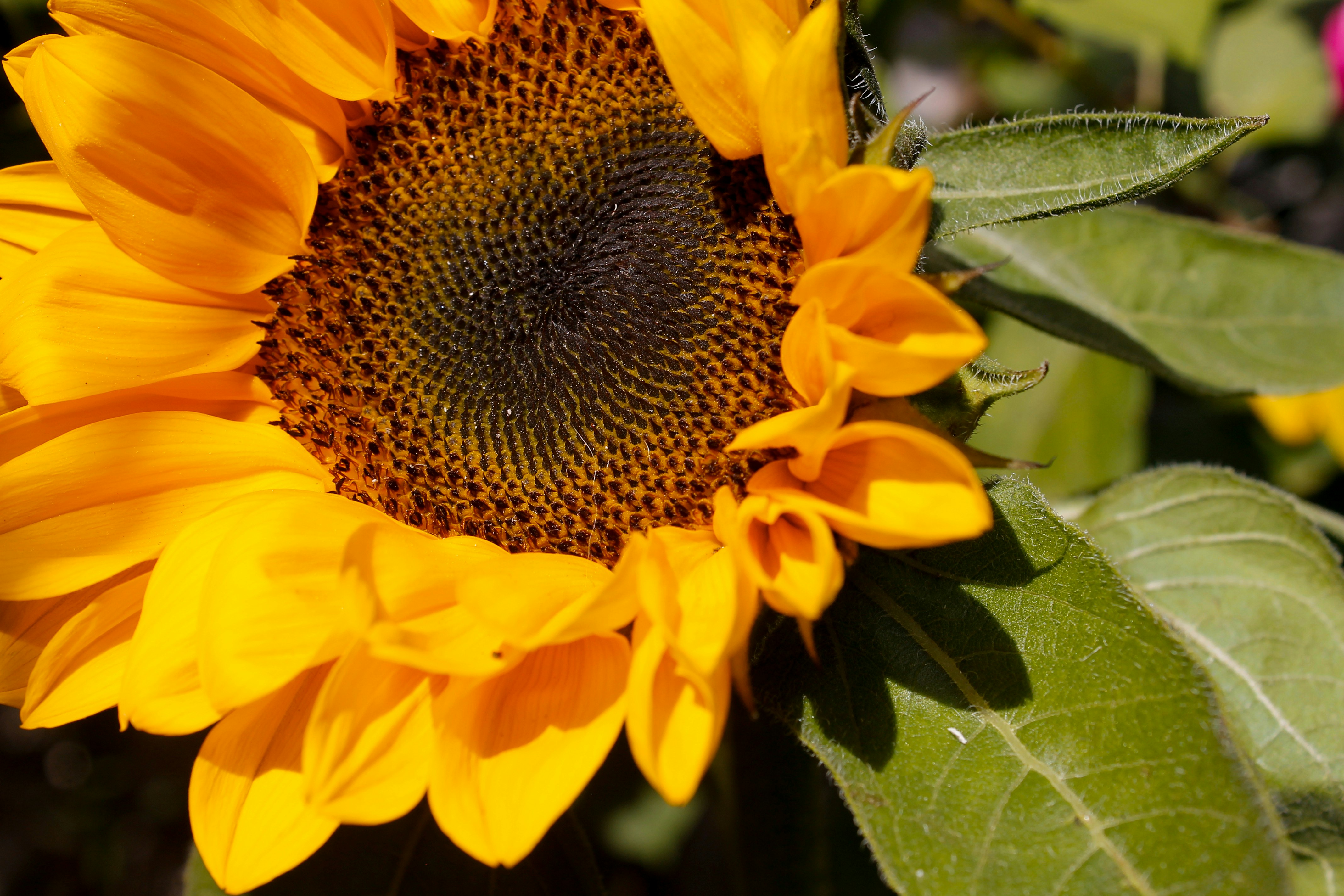 Photo by paolarurrutia