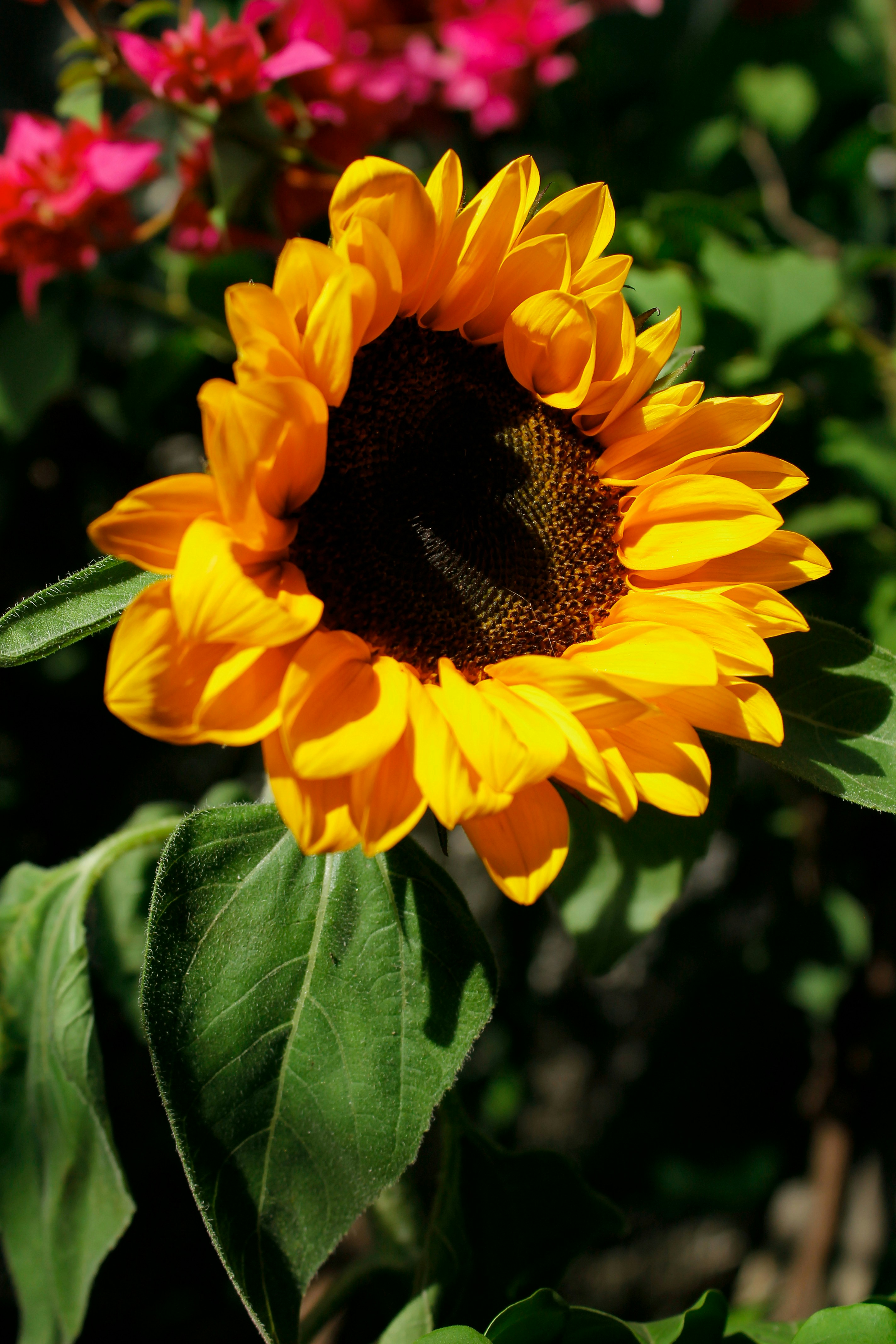 Photo by paolarurrutia