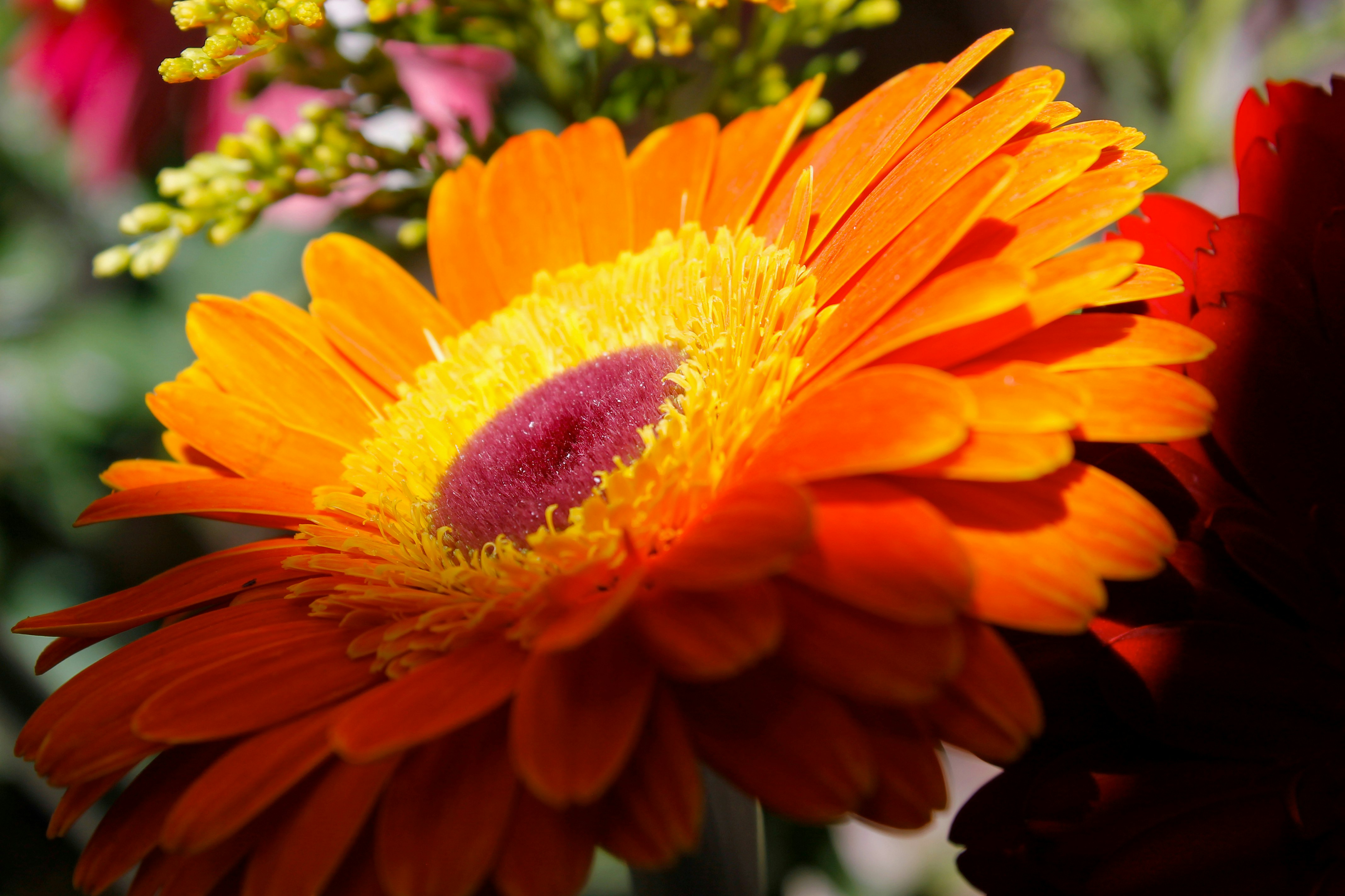 Photo by paolarurrutia