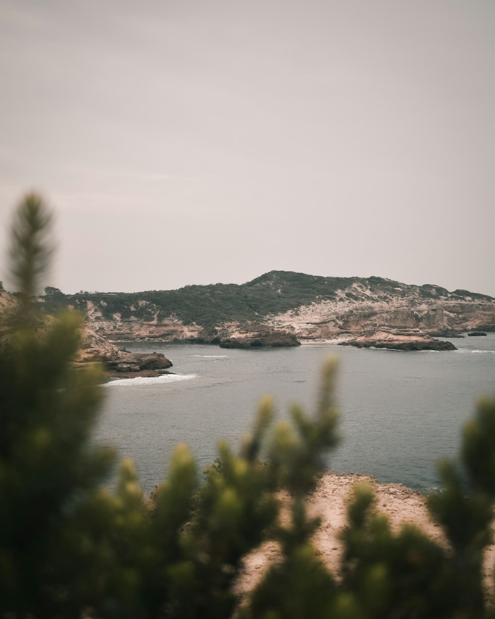 a large body of water surrounded by trees