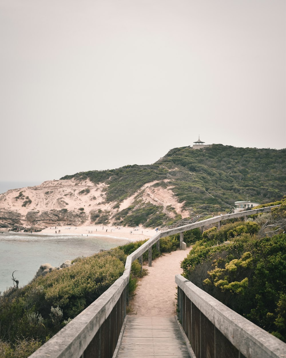 a path leading to a beach with a hill in the background