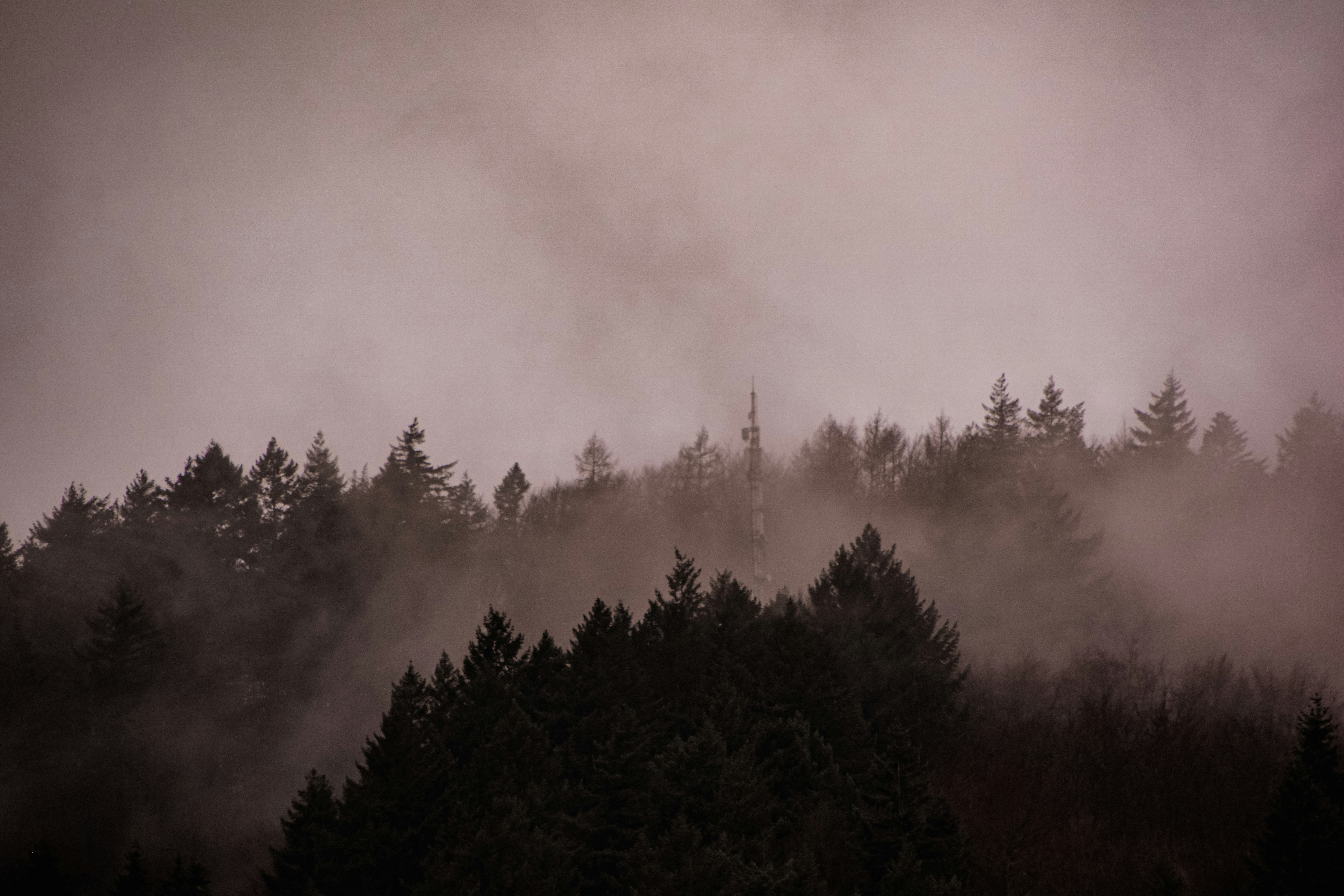 Photo by lauravalkyrja