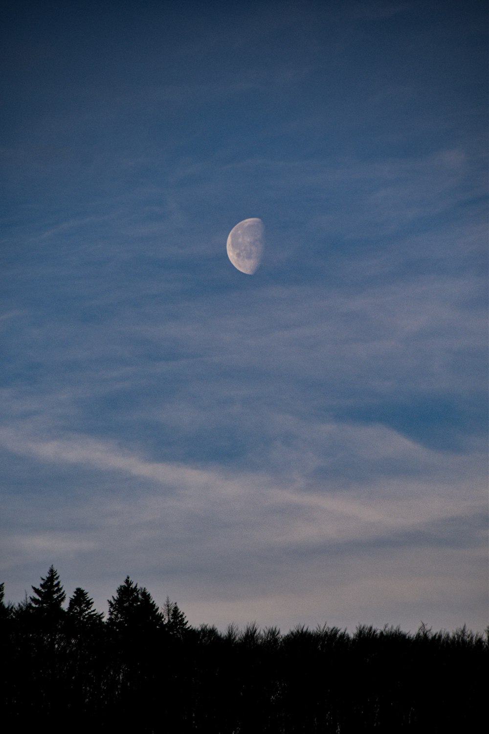 the moon is shining in the sky above the trees