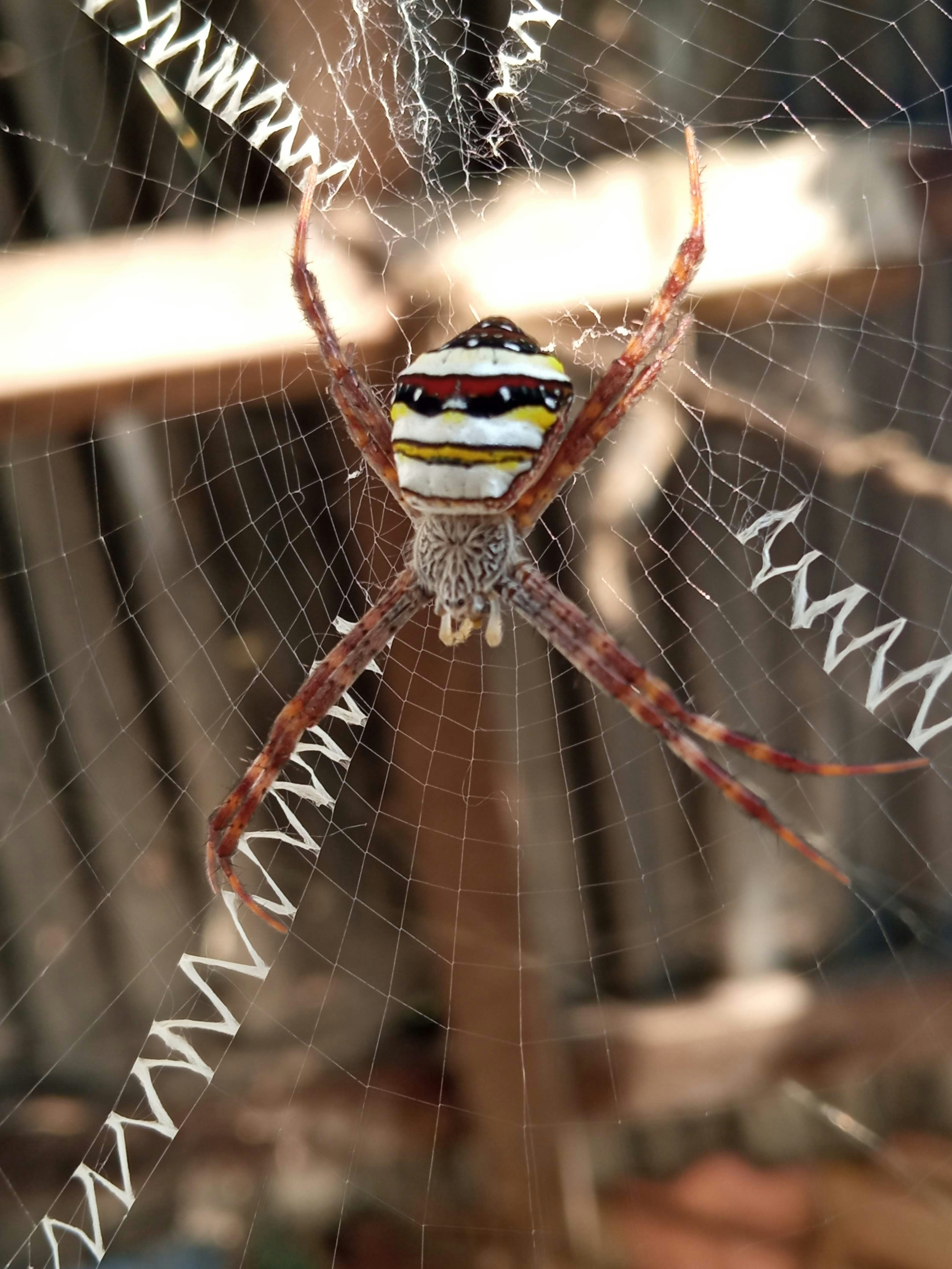 Photo by littledoc420