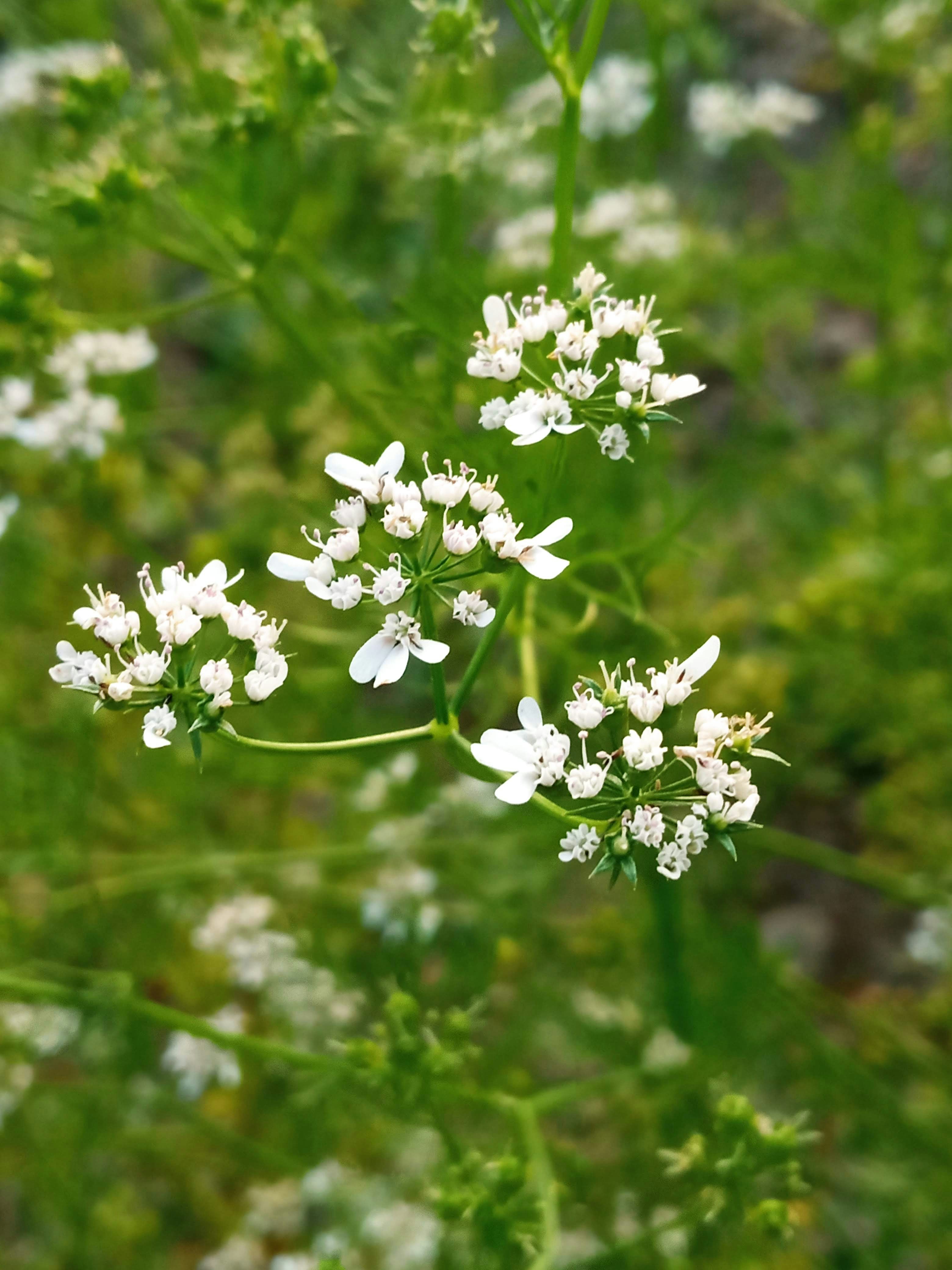 Photo by littledoc420