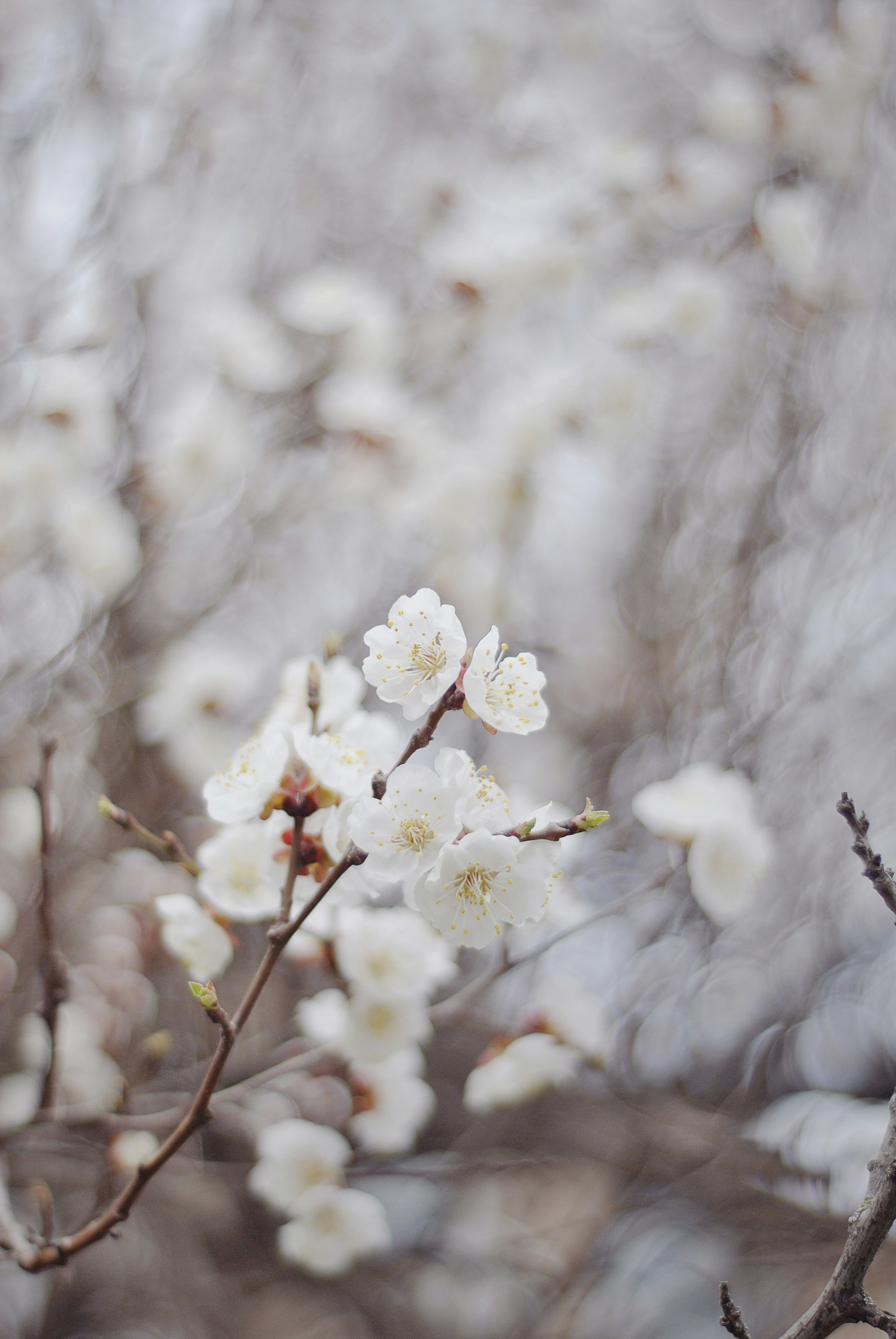 Photo by ash2209