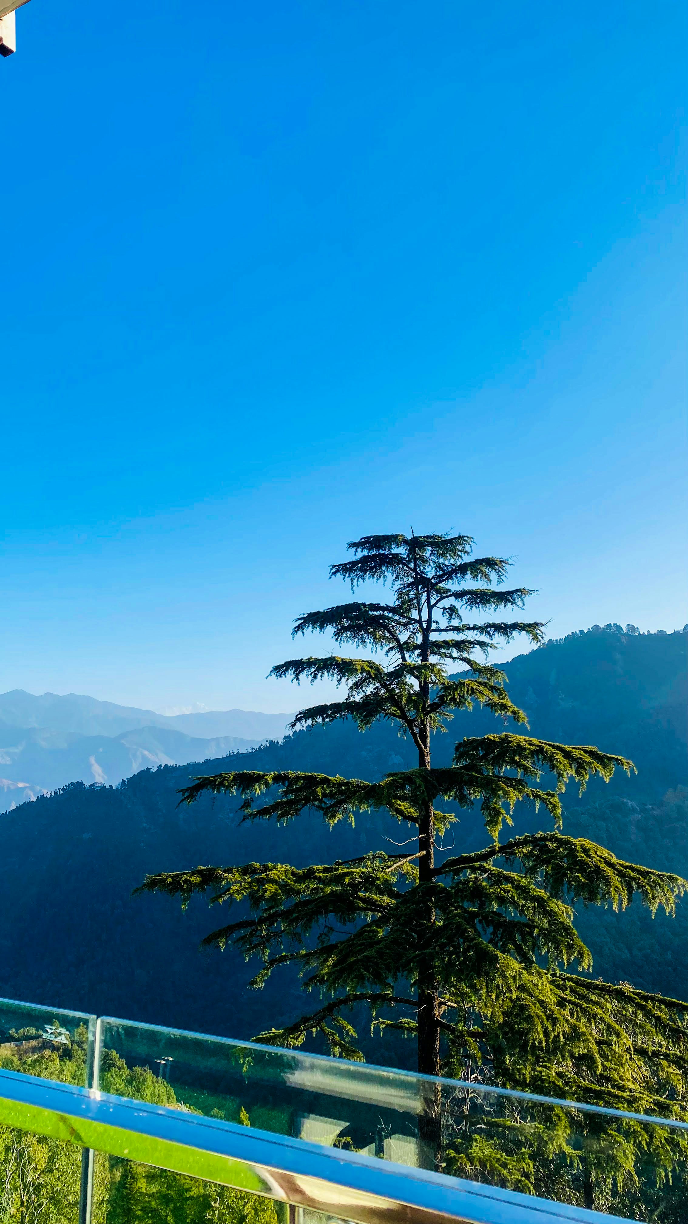 Photo by sakshamk117ue