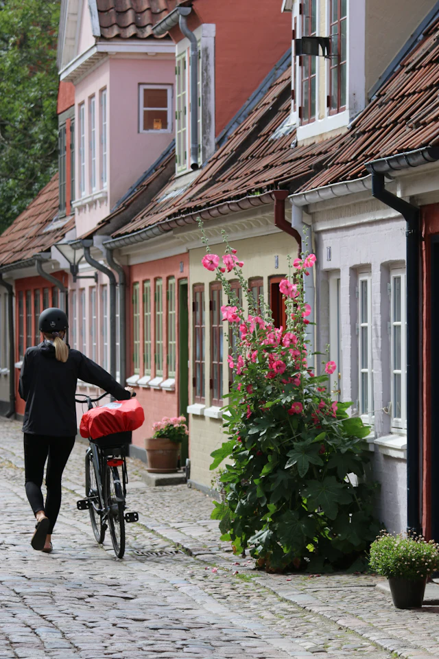 Student housing in Odense: A guide for new students