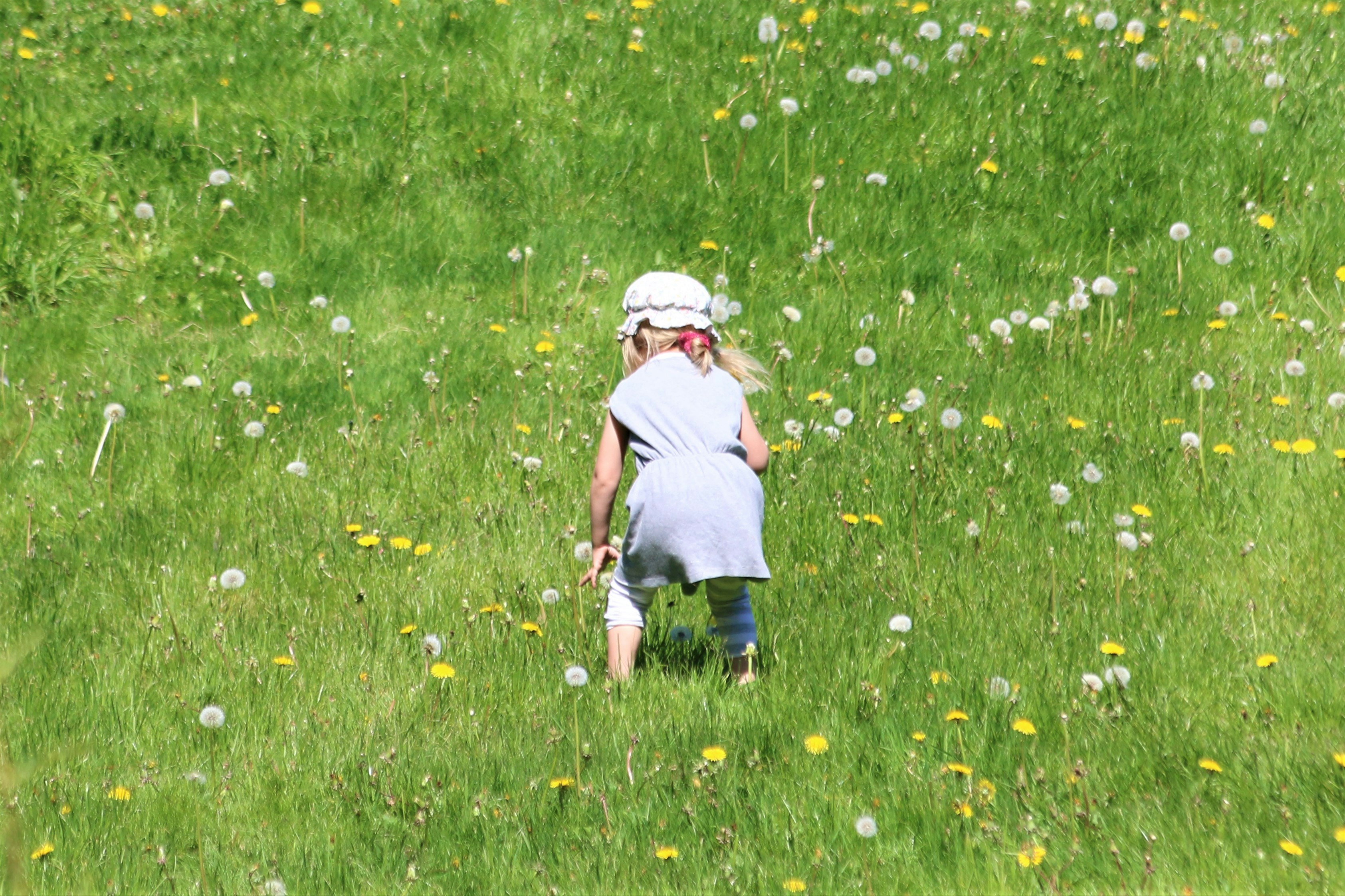 Image of: Tổ chức Vui chơi cho Trẻ — Giáo trình Lý thuyết Tổng hợp