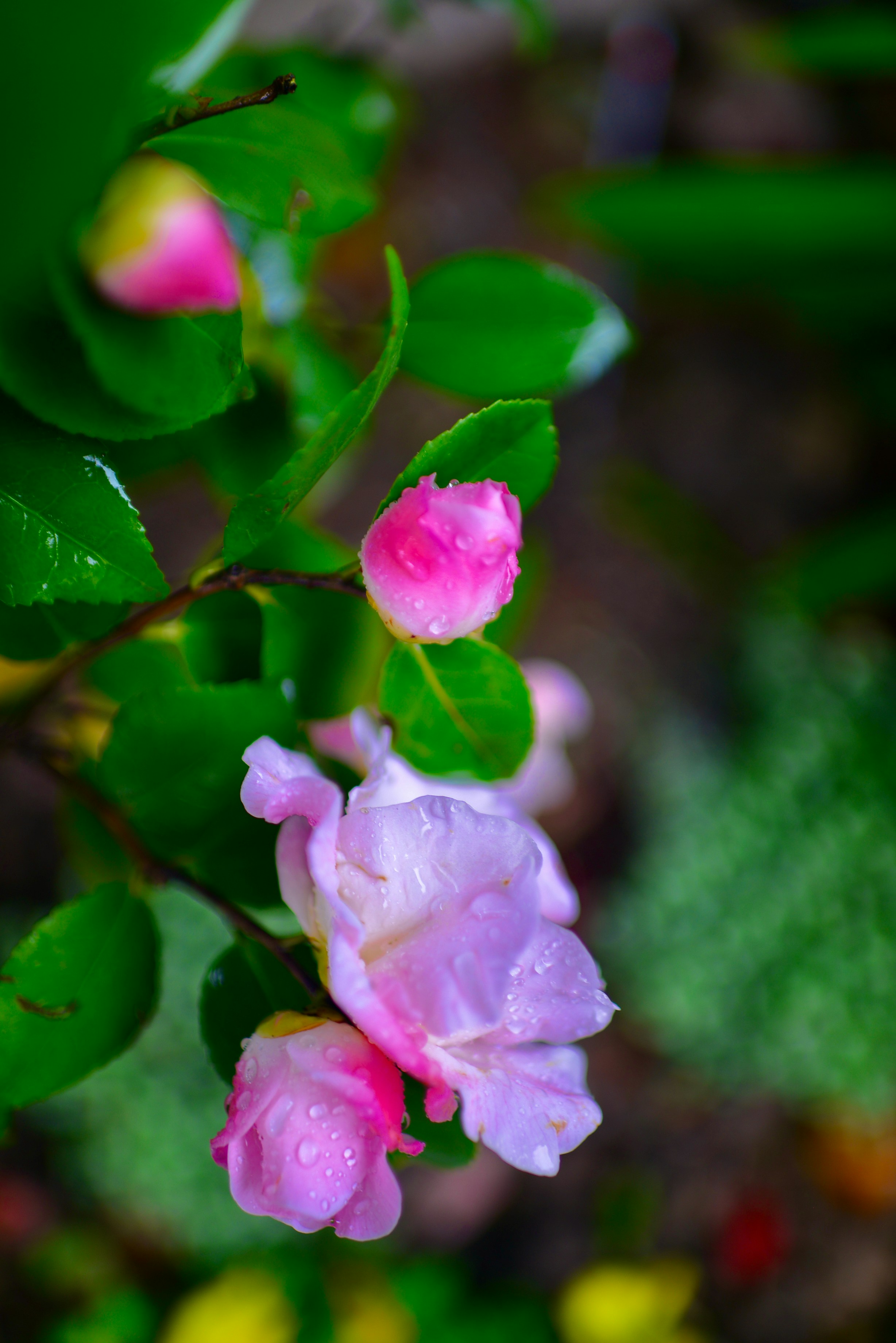 Photo by metacrypto