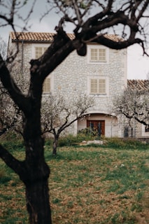 A stone house with a tiled roof is seen through the branches of bare trees, set amidst a grassy yard. The house features multiple windows with white frames and a wooden front door. The lawn shows some patches of bare soil, and there are two trees prominently framing the view.