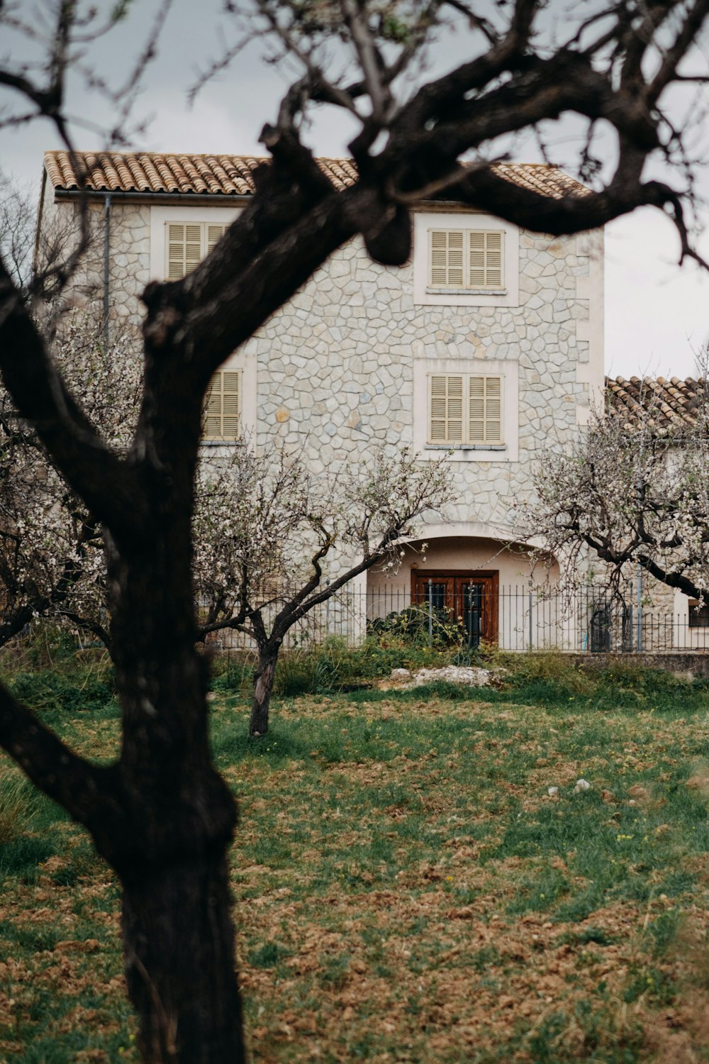 a stone house with a tree in front of it