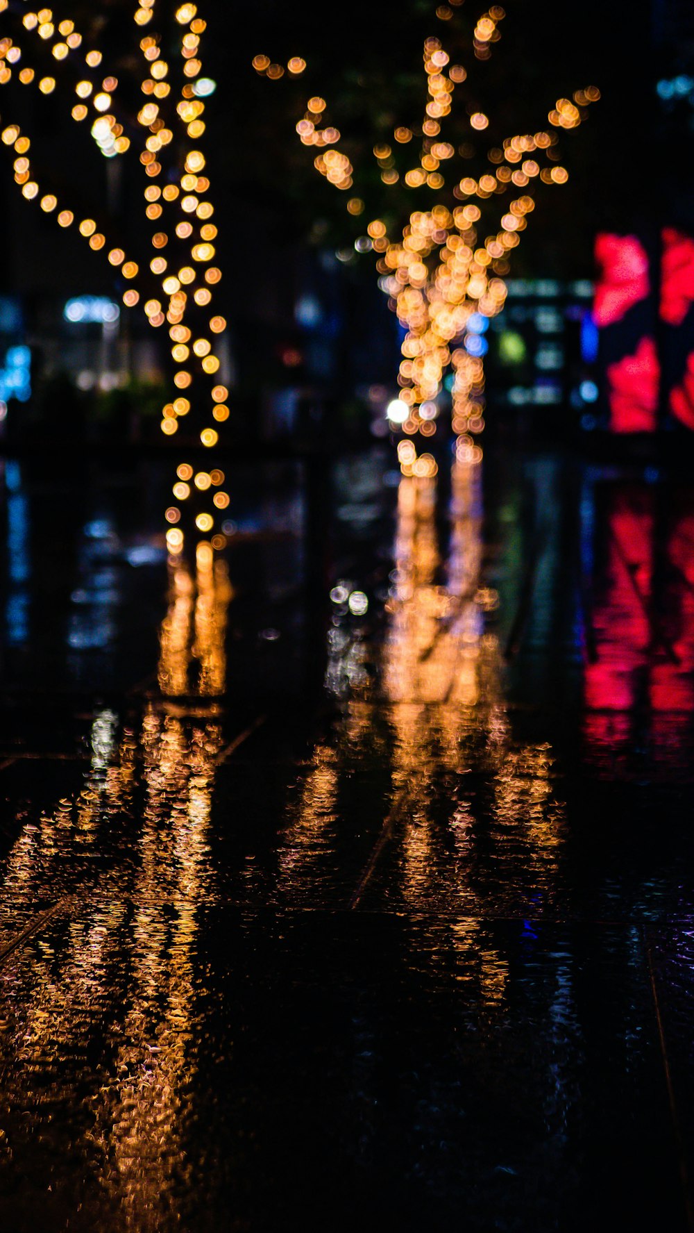 a couple of trees that are sitting in the rain