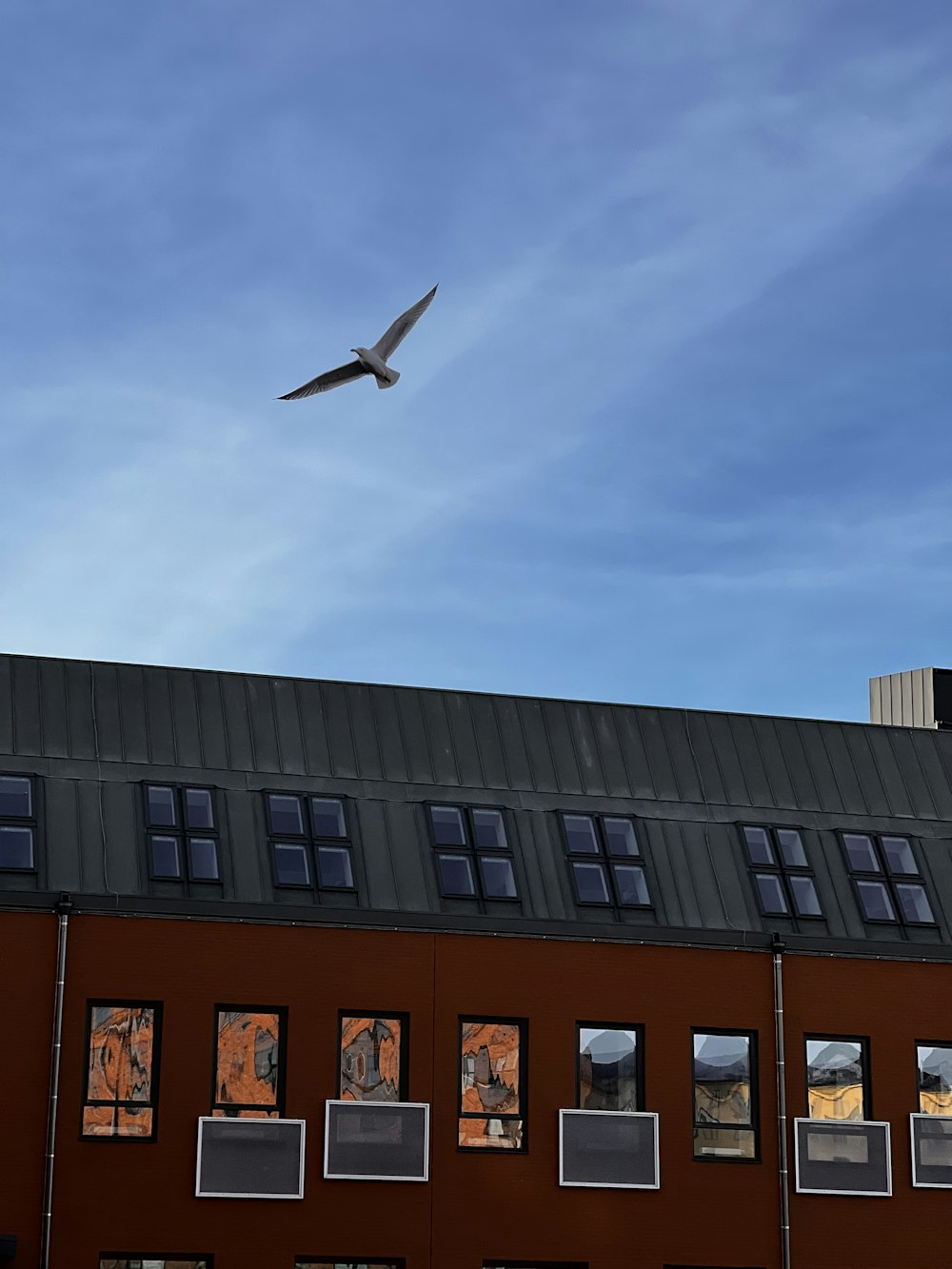 a bird flying over a building with windows