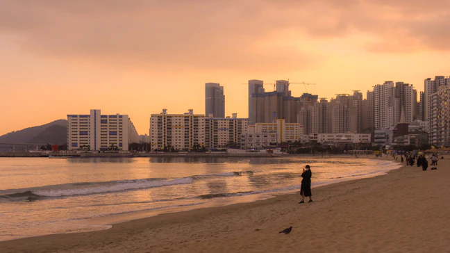 Luxury Gangneung Itinerary: 3 Days of Premium Travel