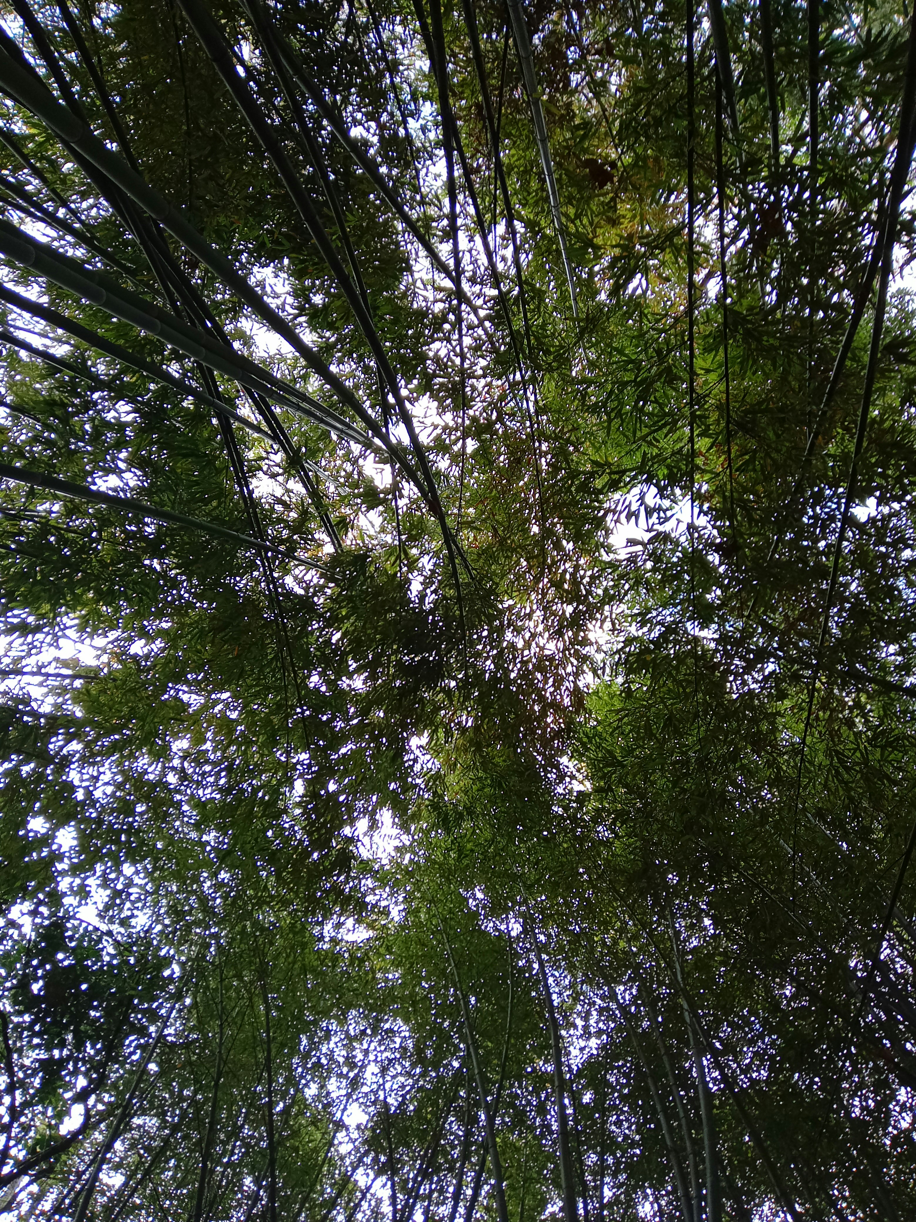 Photo by paula_serrano