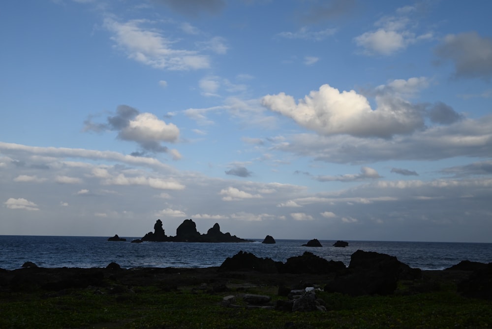 a large body of water sitting next to a lush green field